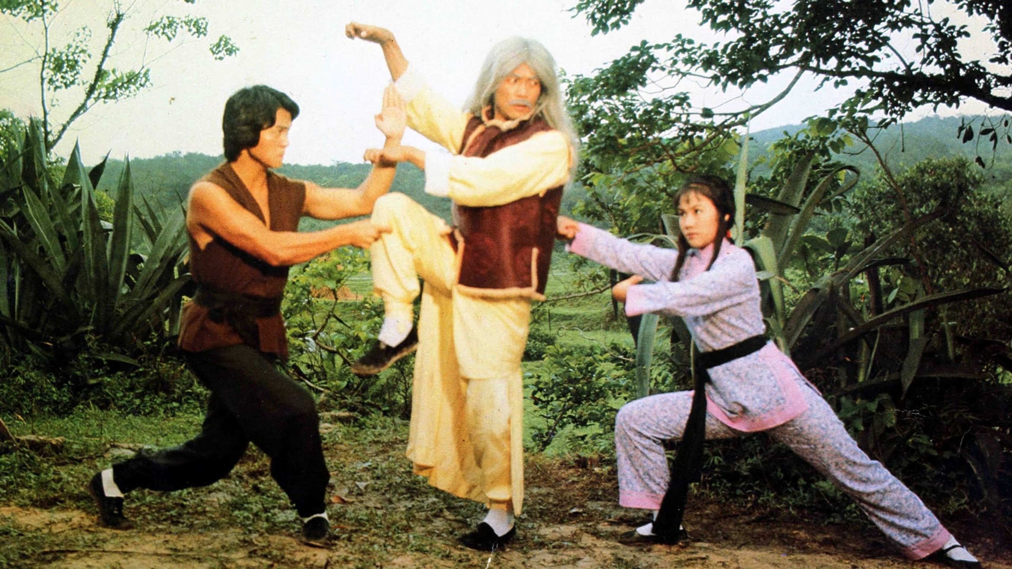 미권삼십육초