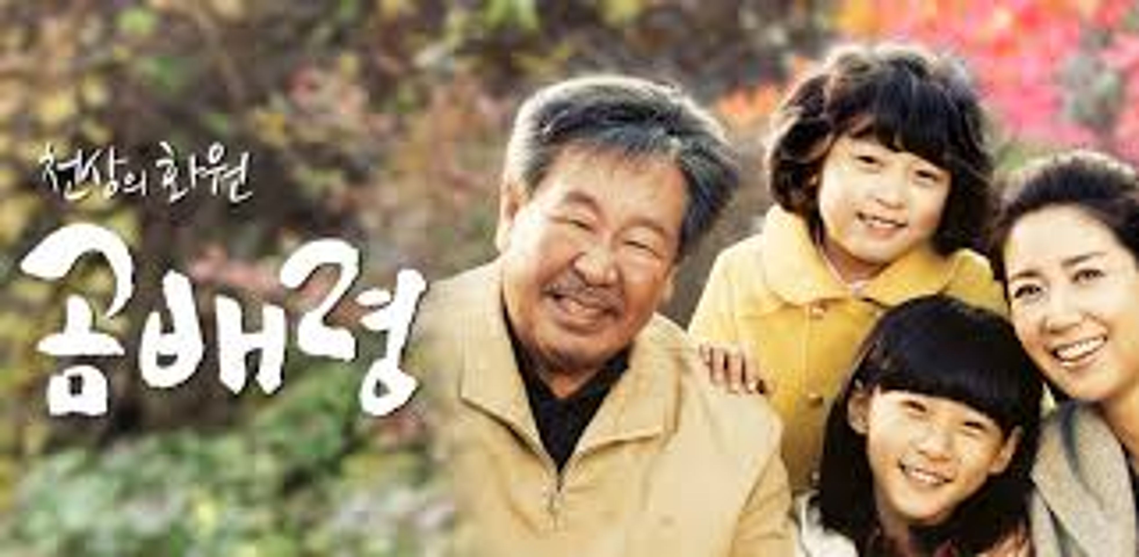 천상의 화원 곰배령