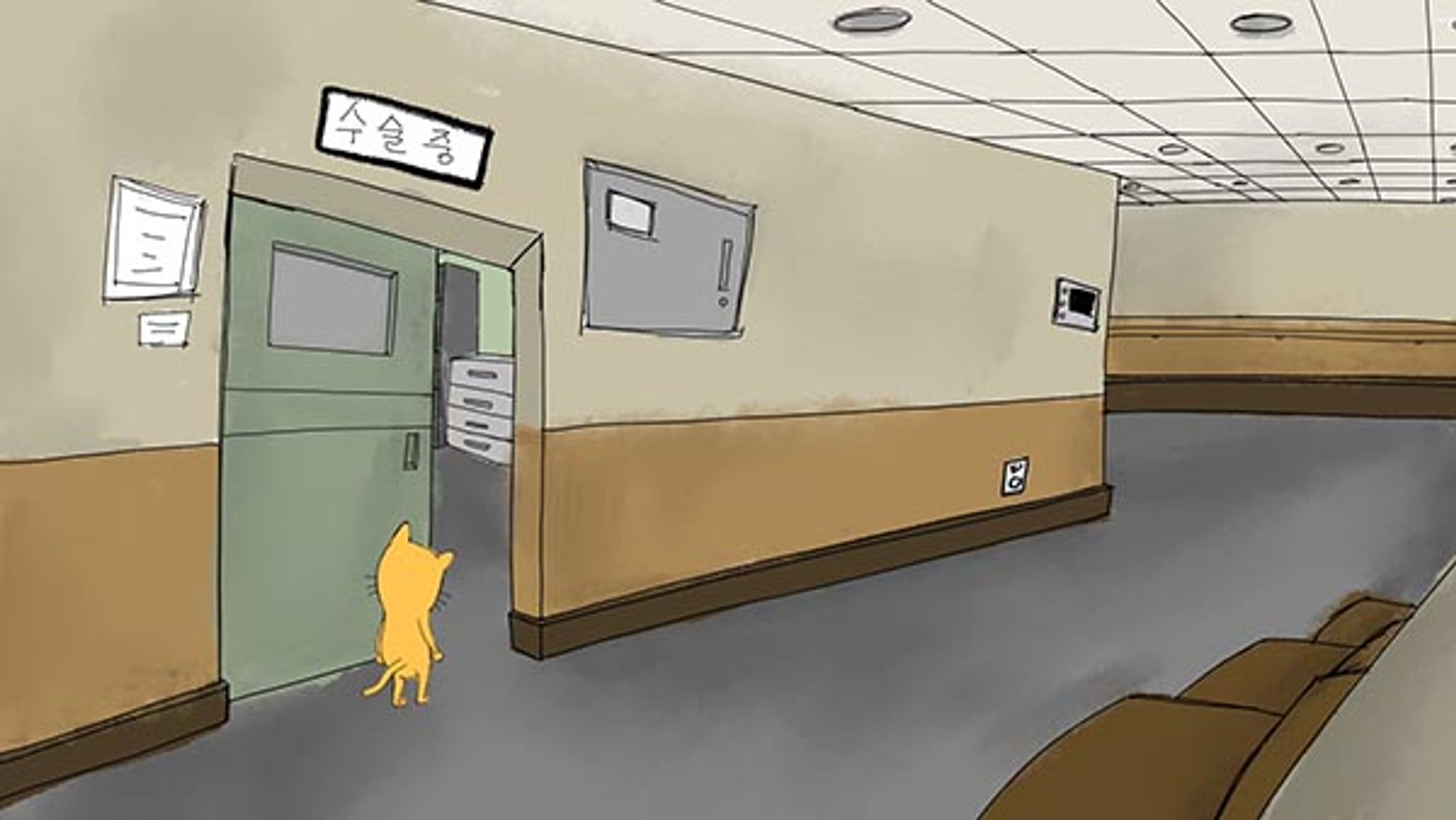 고양이(耳)발사