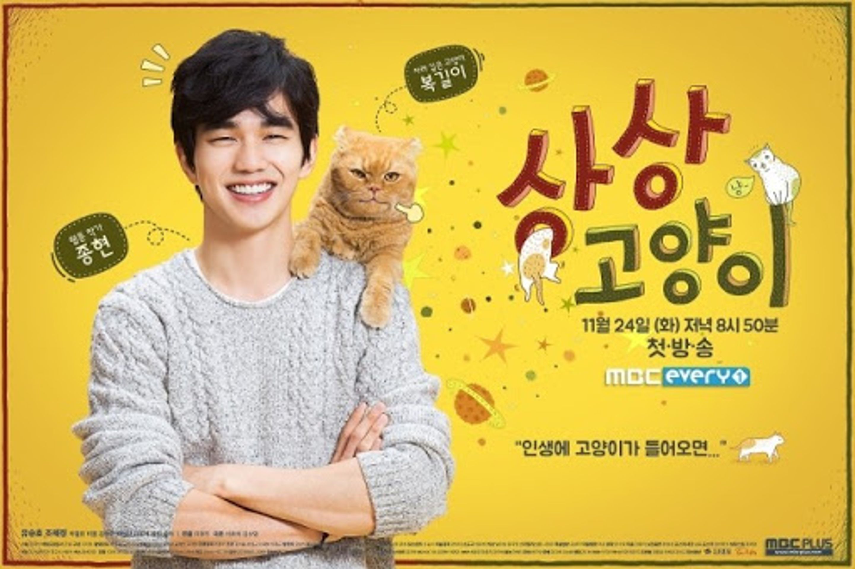 상상고양이