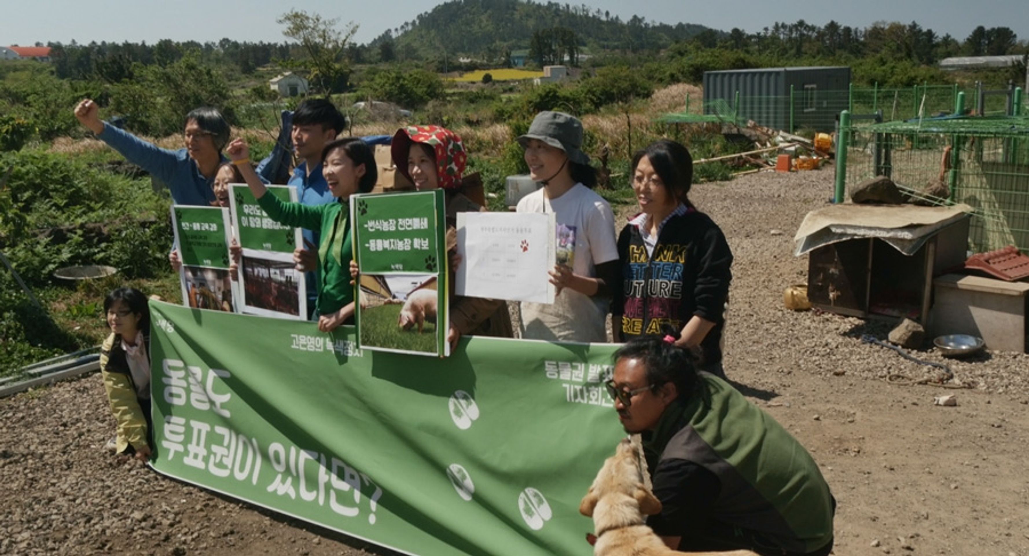 청춘 선거