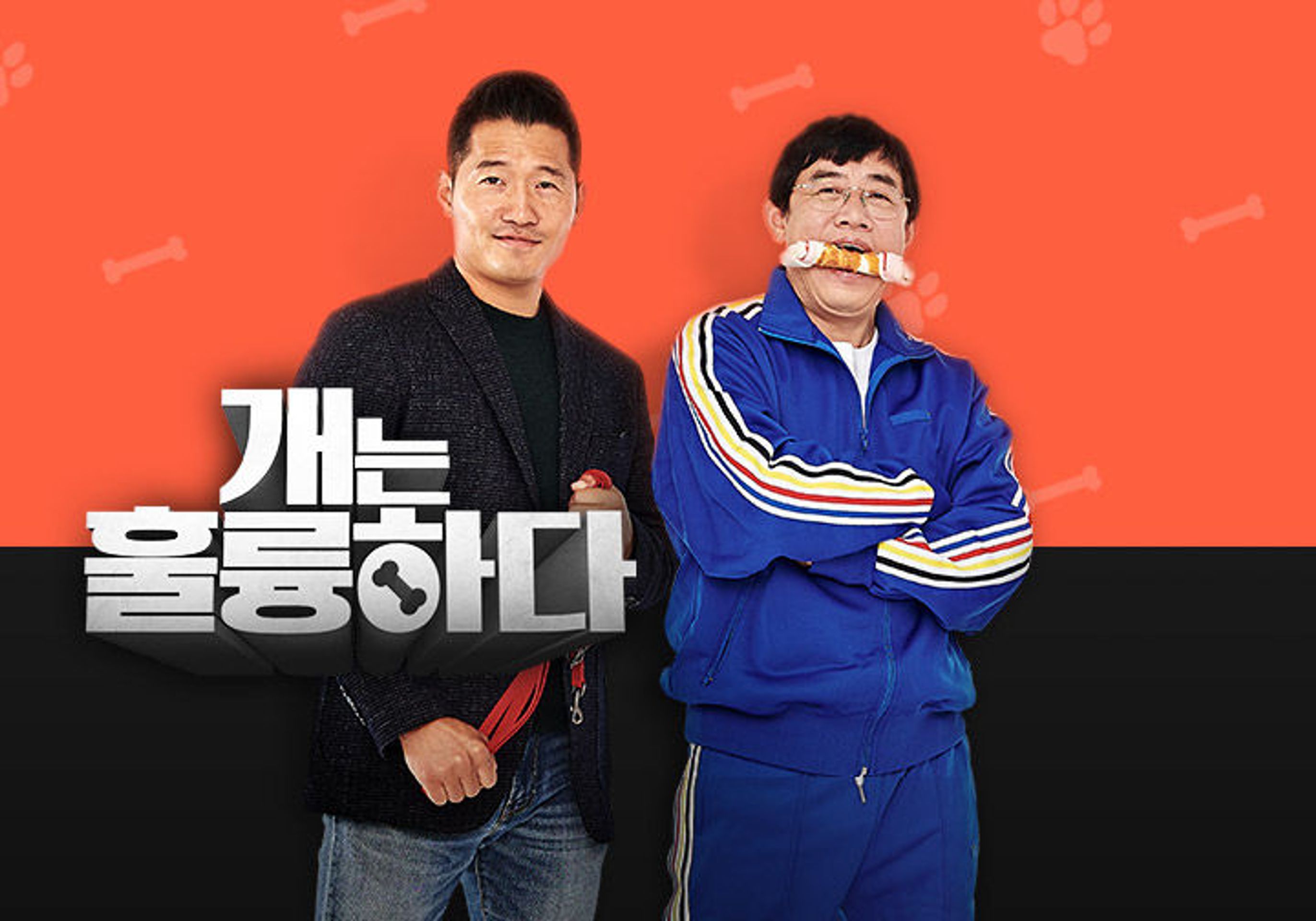 개는 훌륭하다