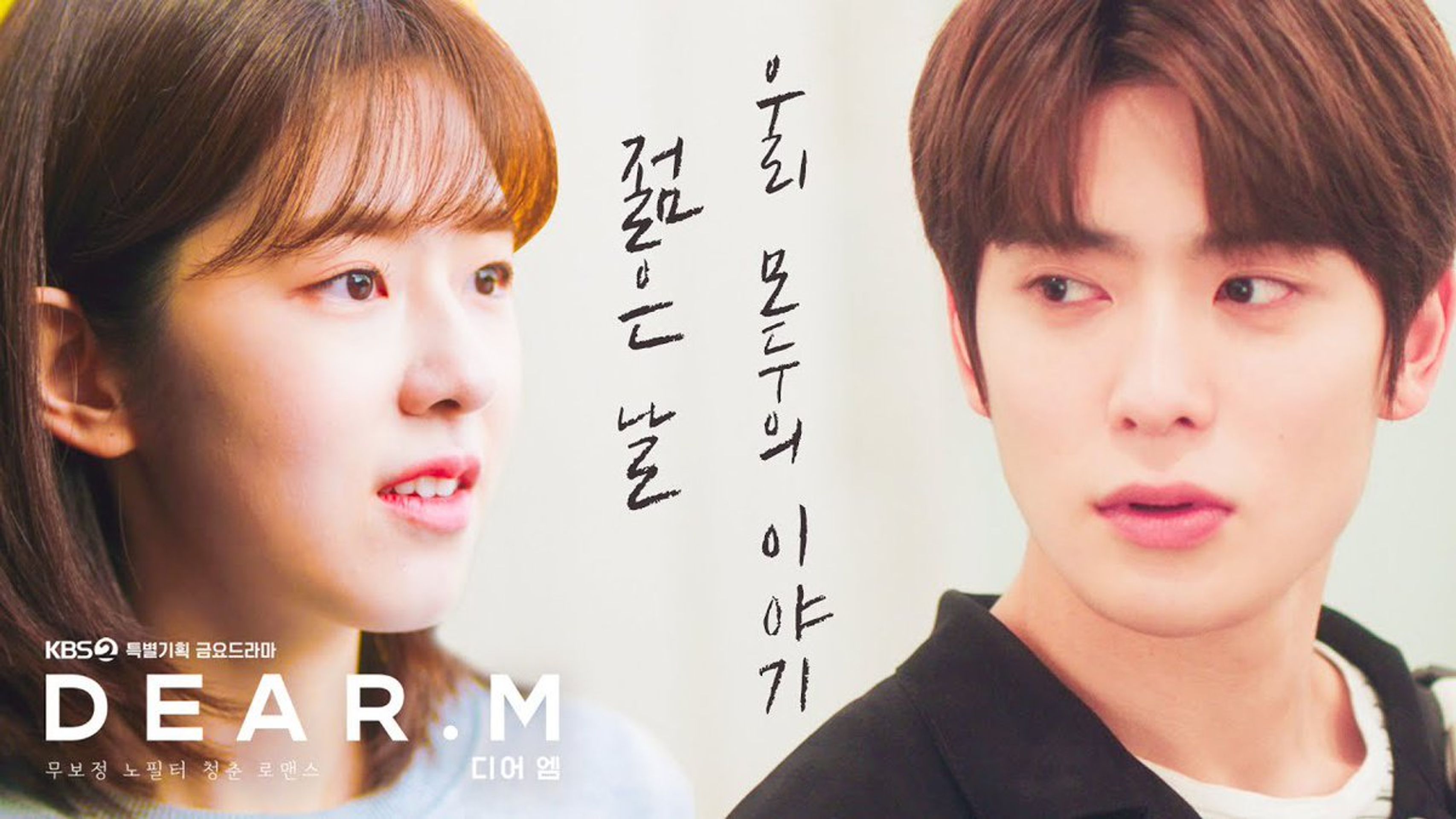 디어엠