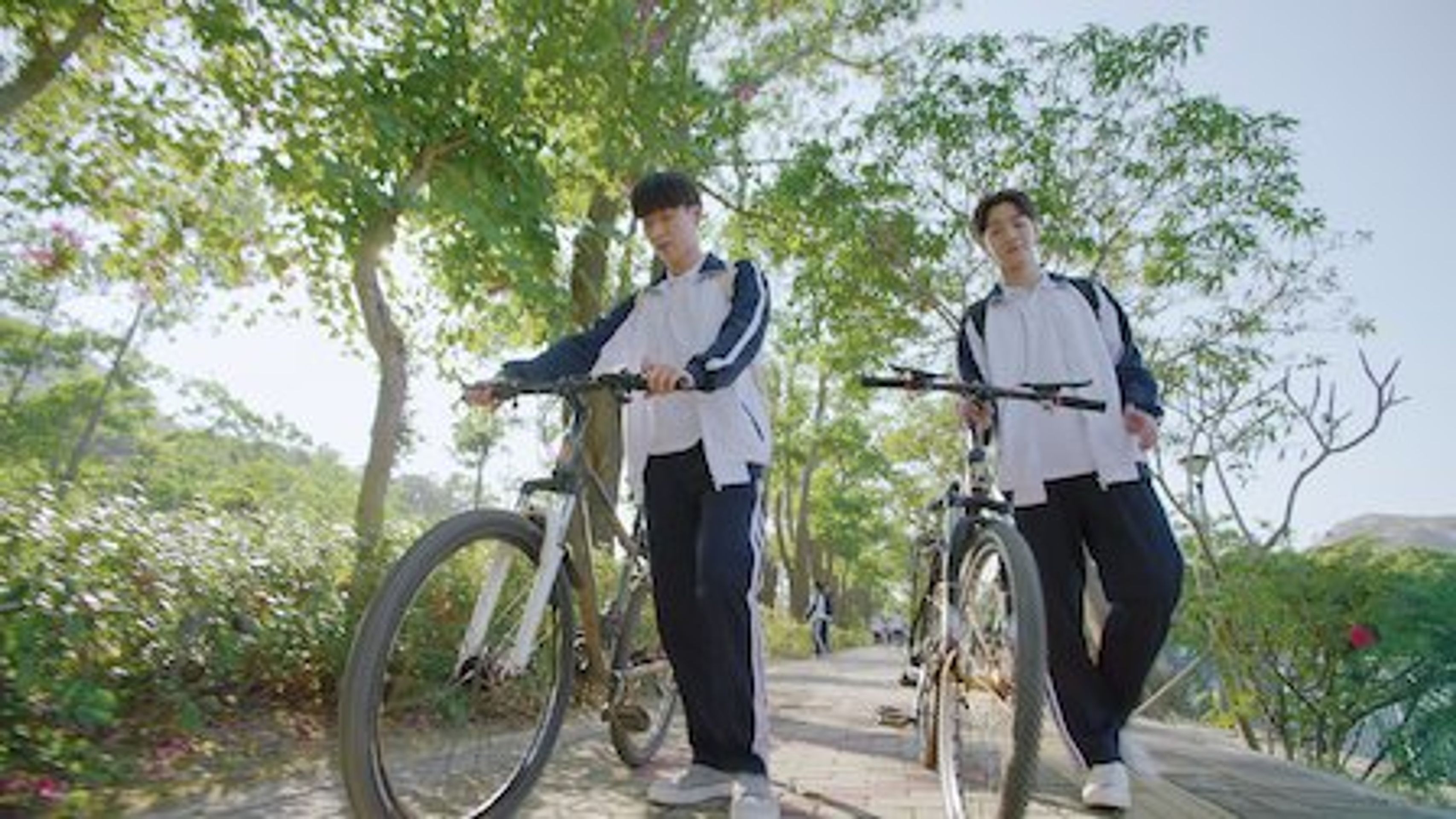 첫사랑의 멜로디