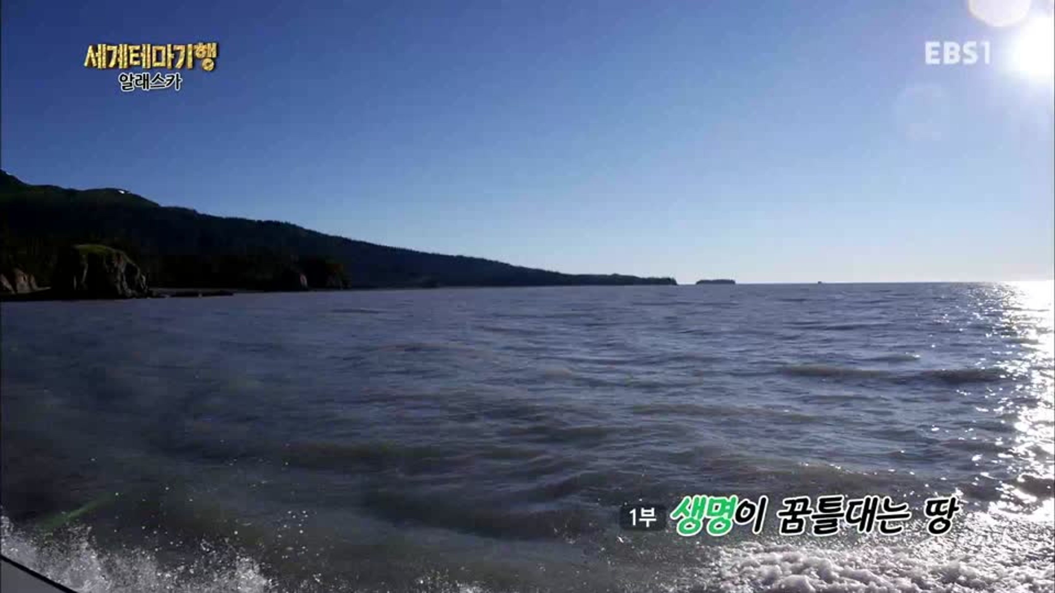 세계테마기행 - 여름의 선물, 알래스카