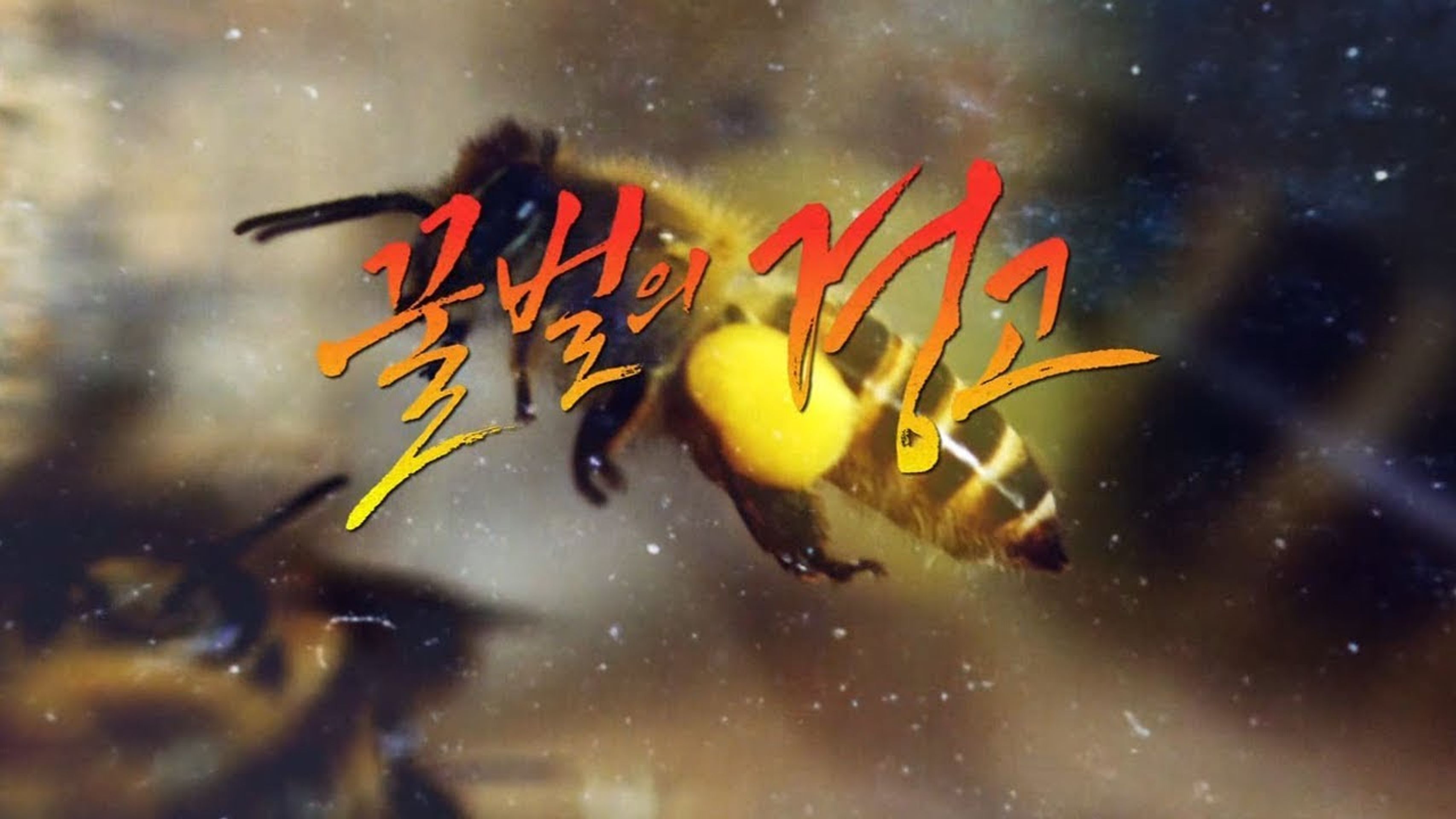 꿀벌의 경고