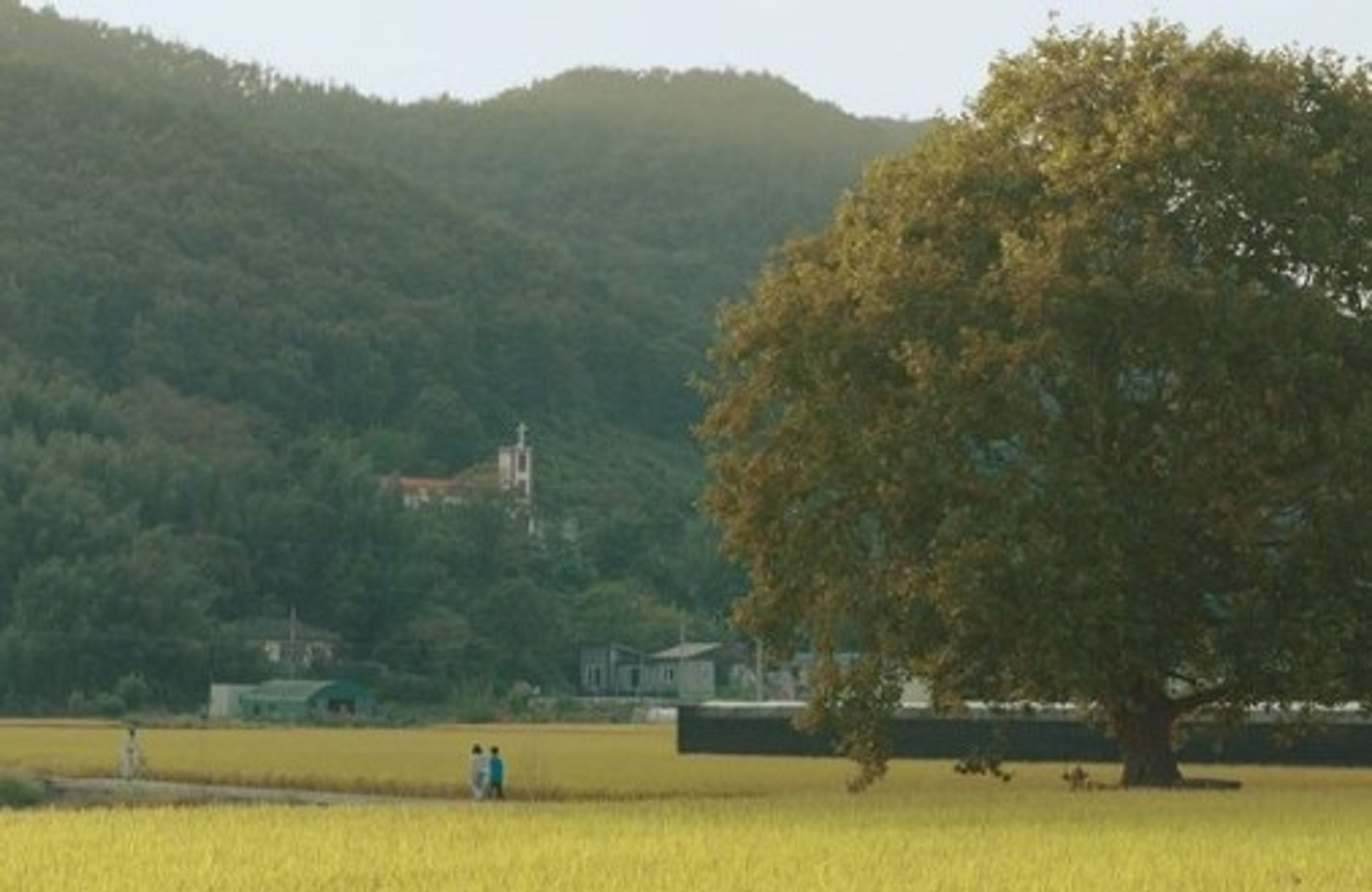 가을바람 불르면