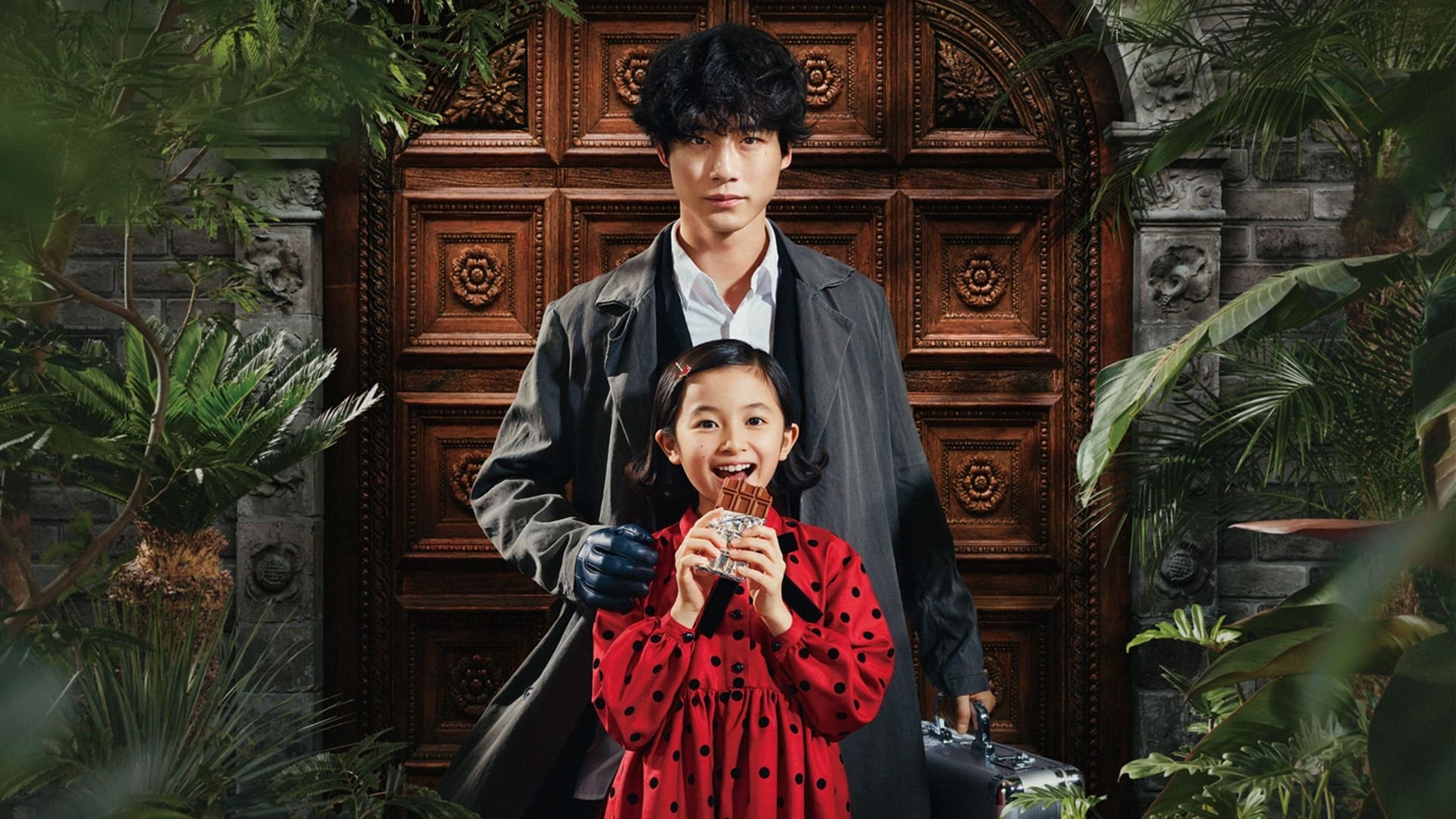 Dr. 초콜릿