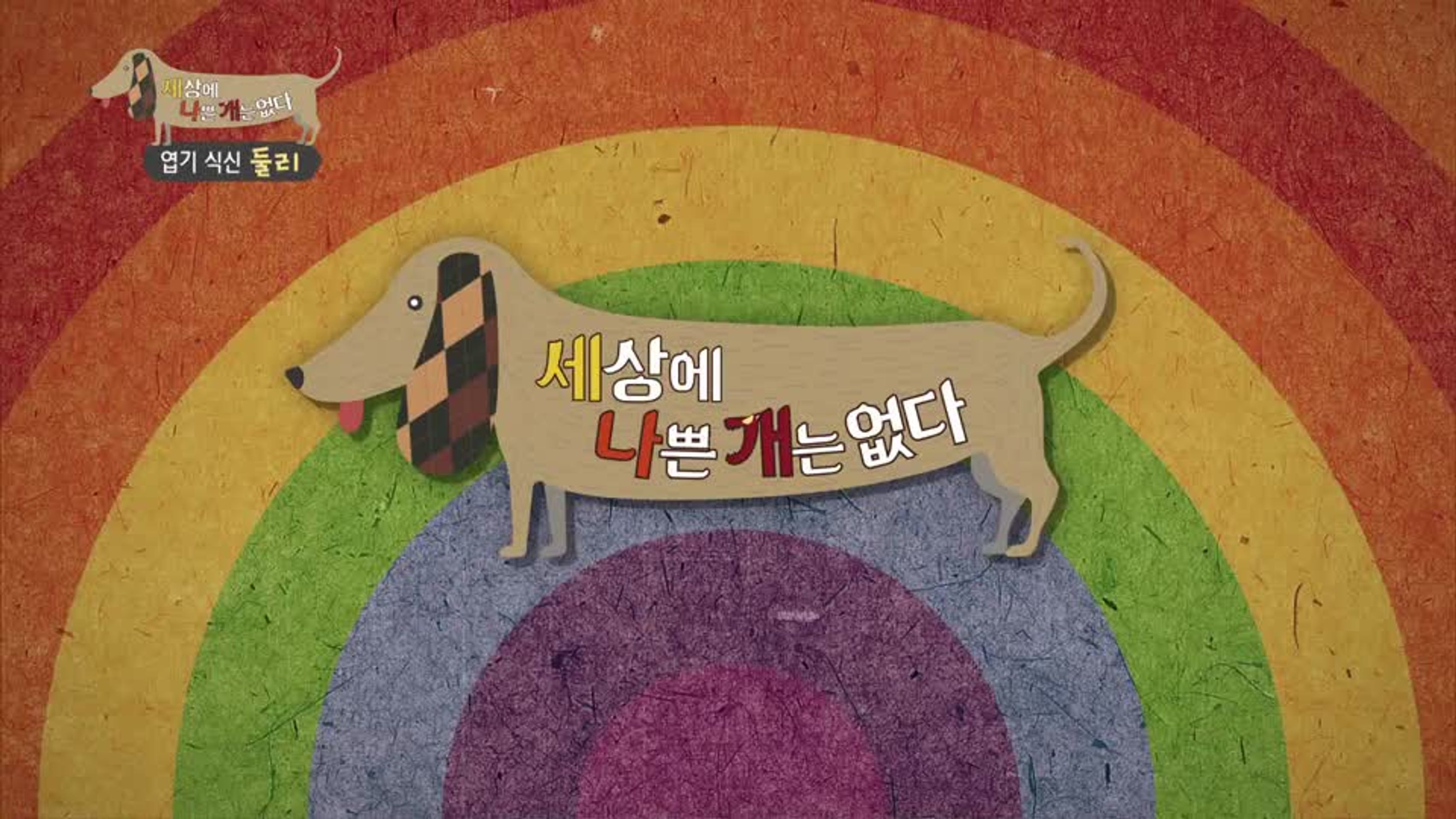 세상에 나쁜 개는 없다 시즌 1