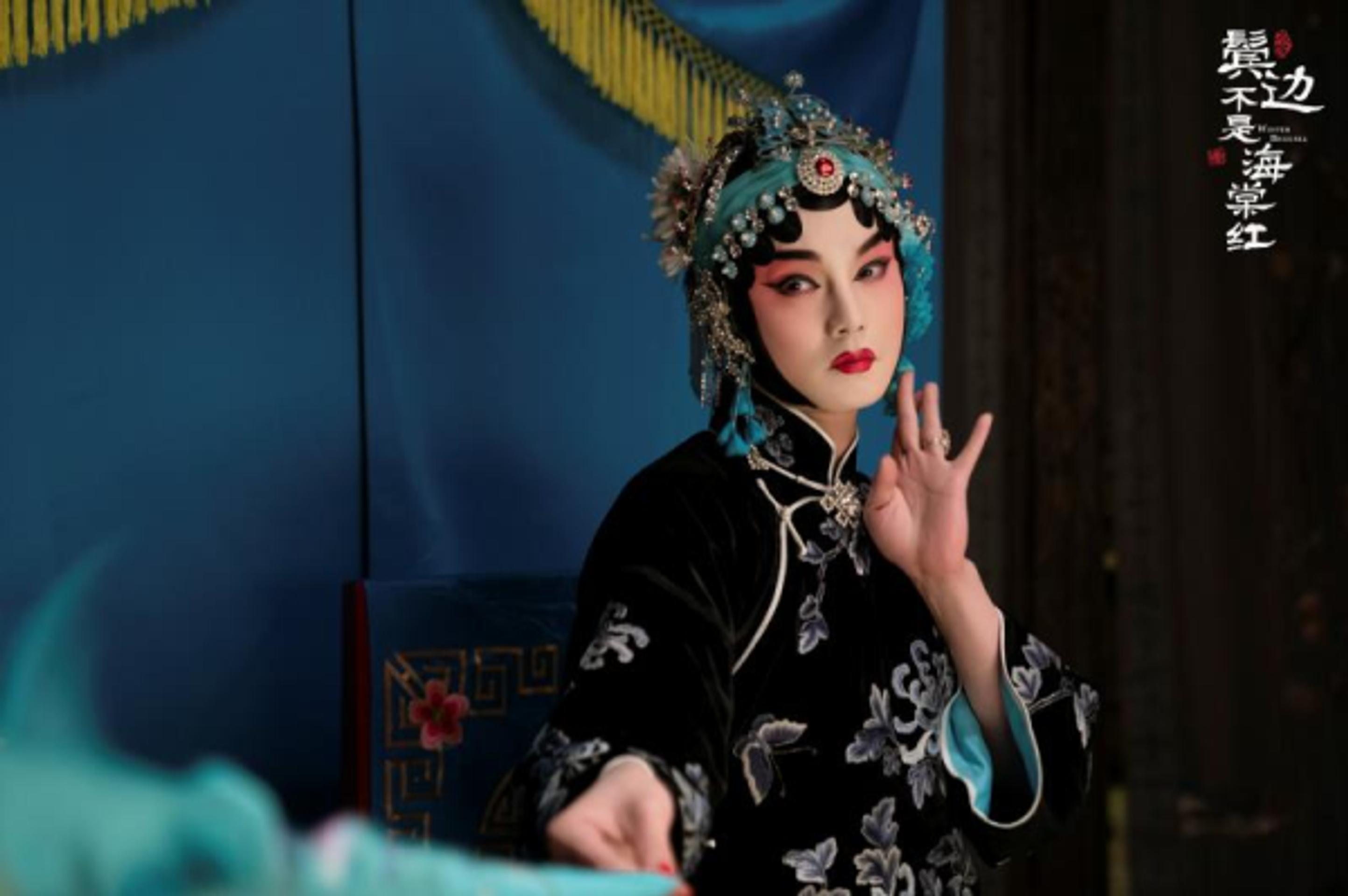 빈변불시해당홍