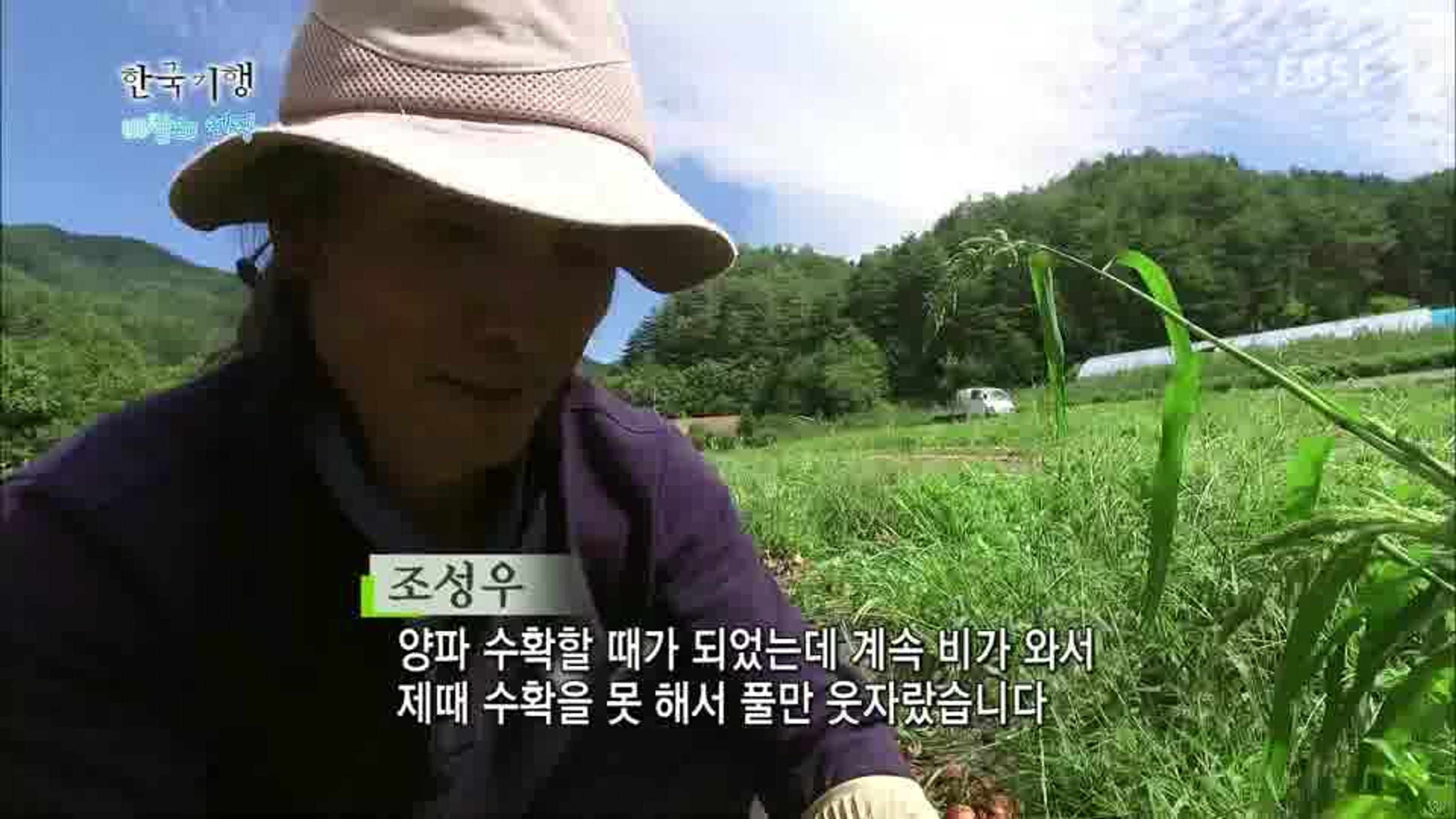 한국기행 - 바람의 언덕