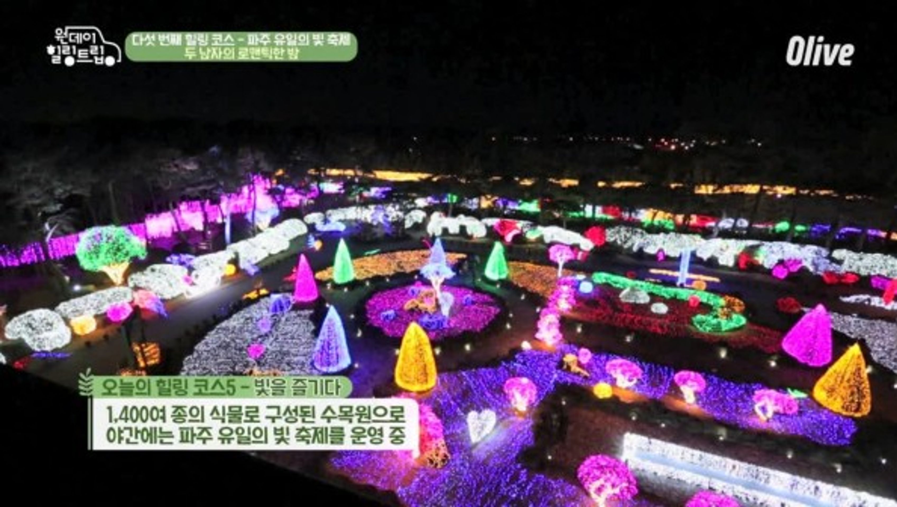 원데이힐링트립