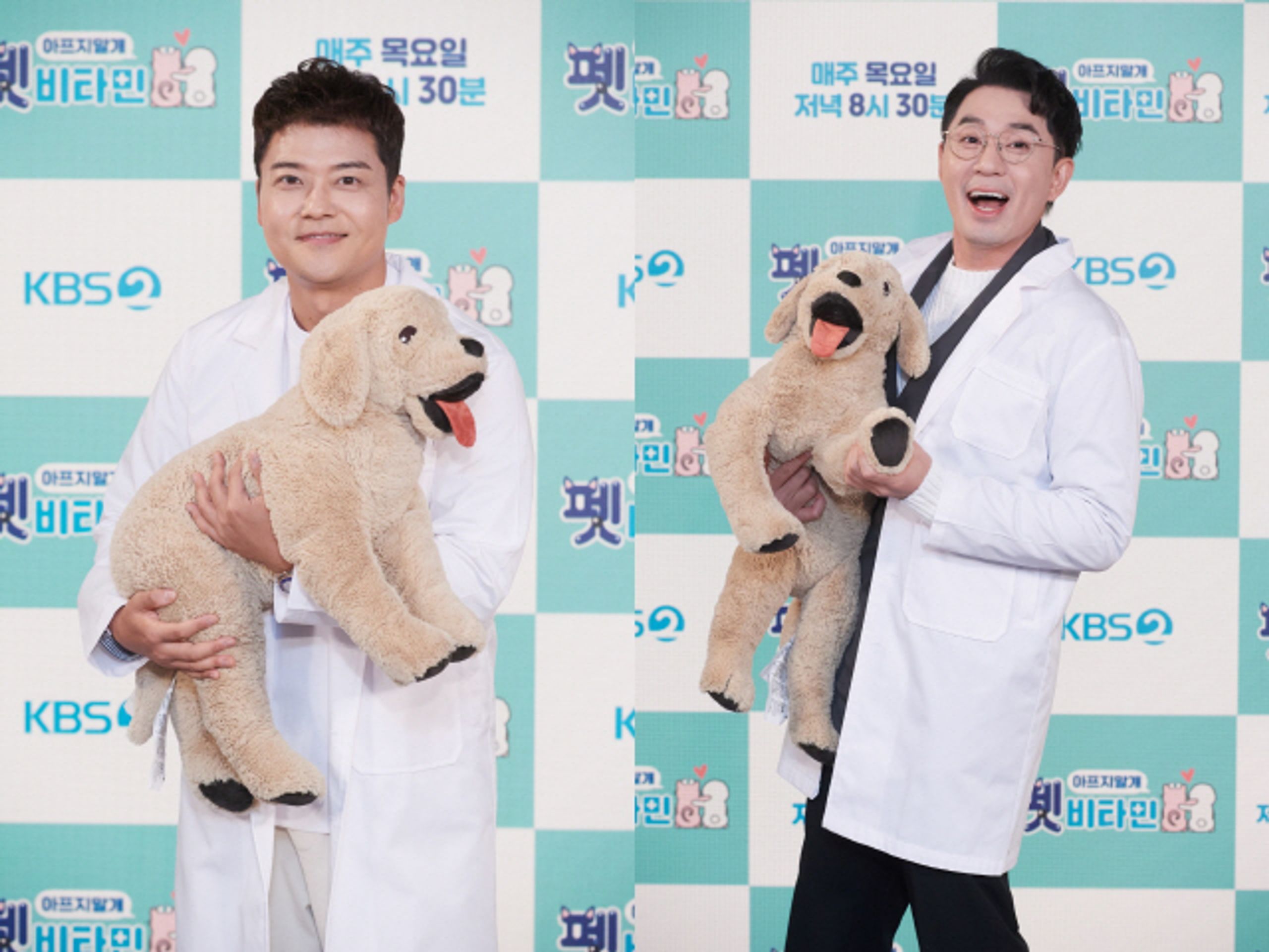 펫 비타민