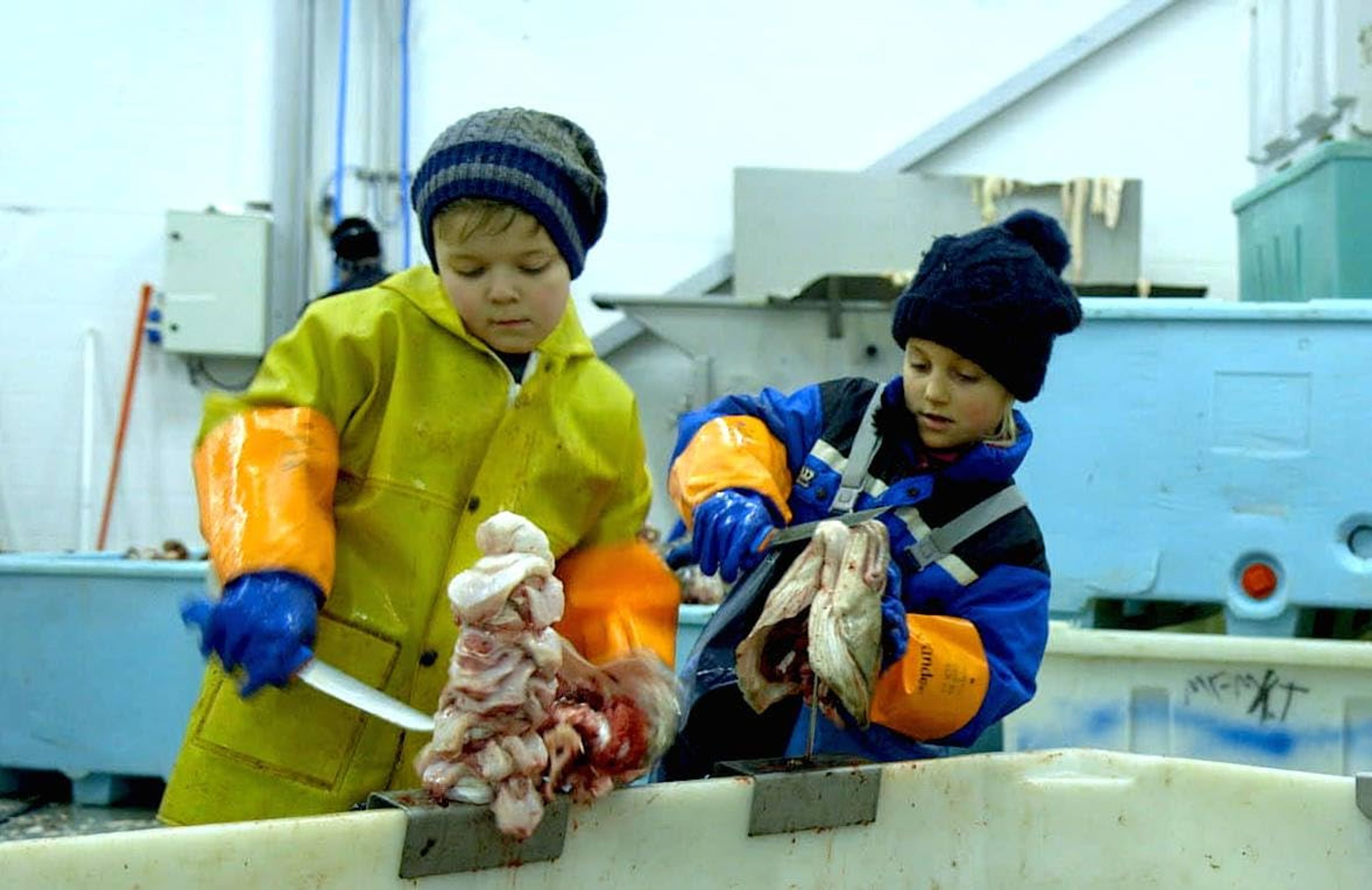 텅 커터스: 어린이 극한 직업