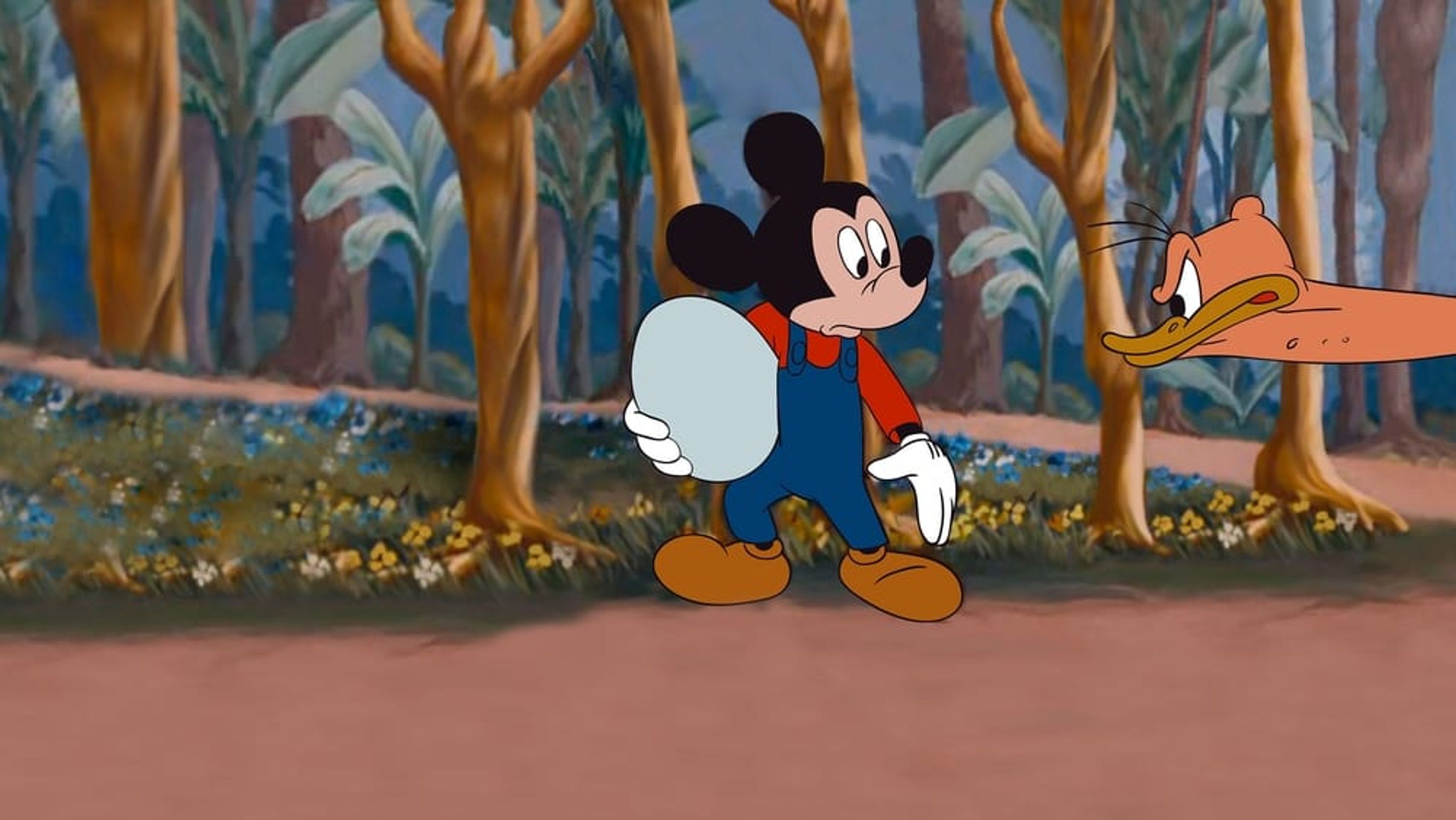 미키 다운 언더