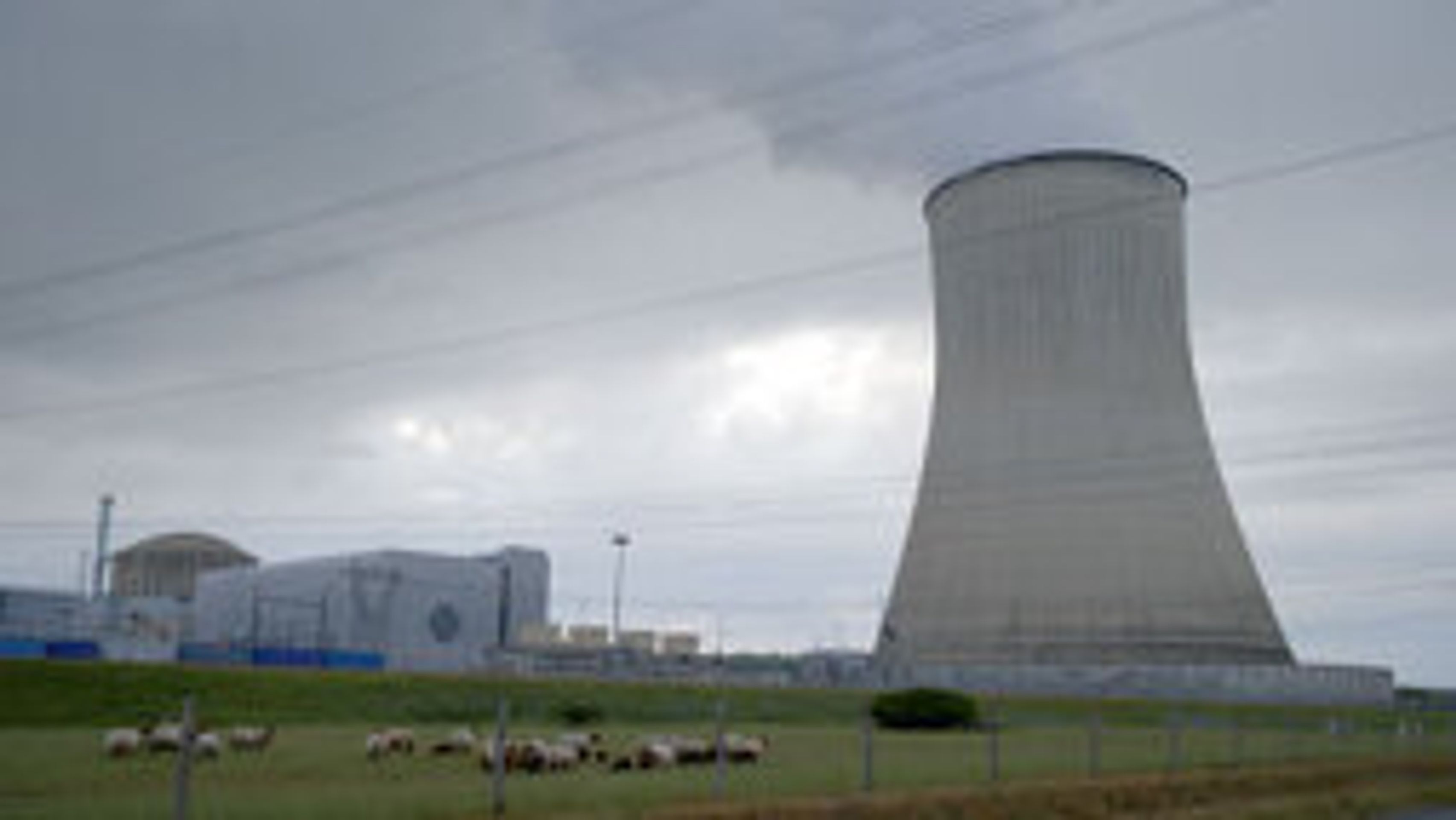 뉴클리어 나우