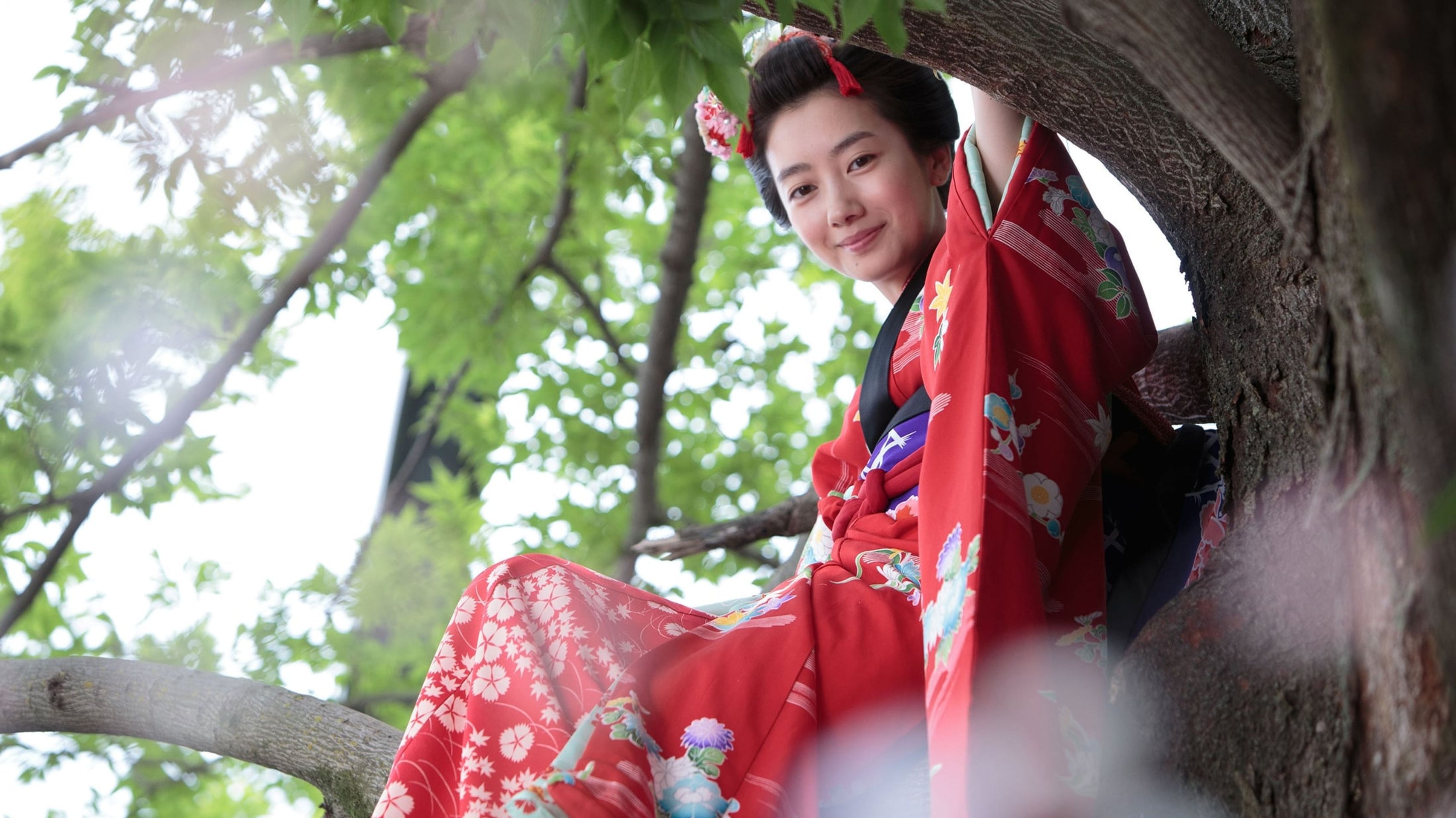 아침이 온다