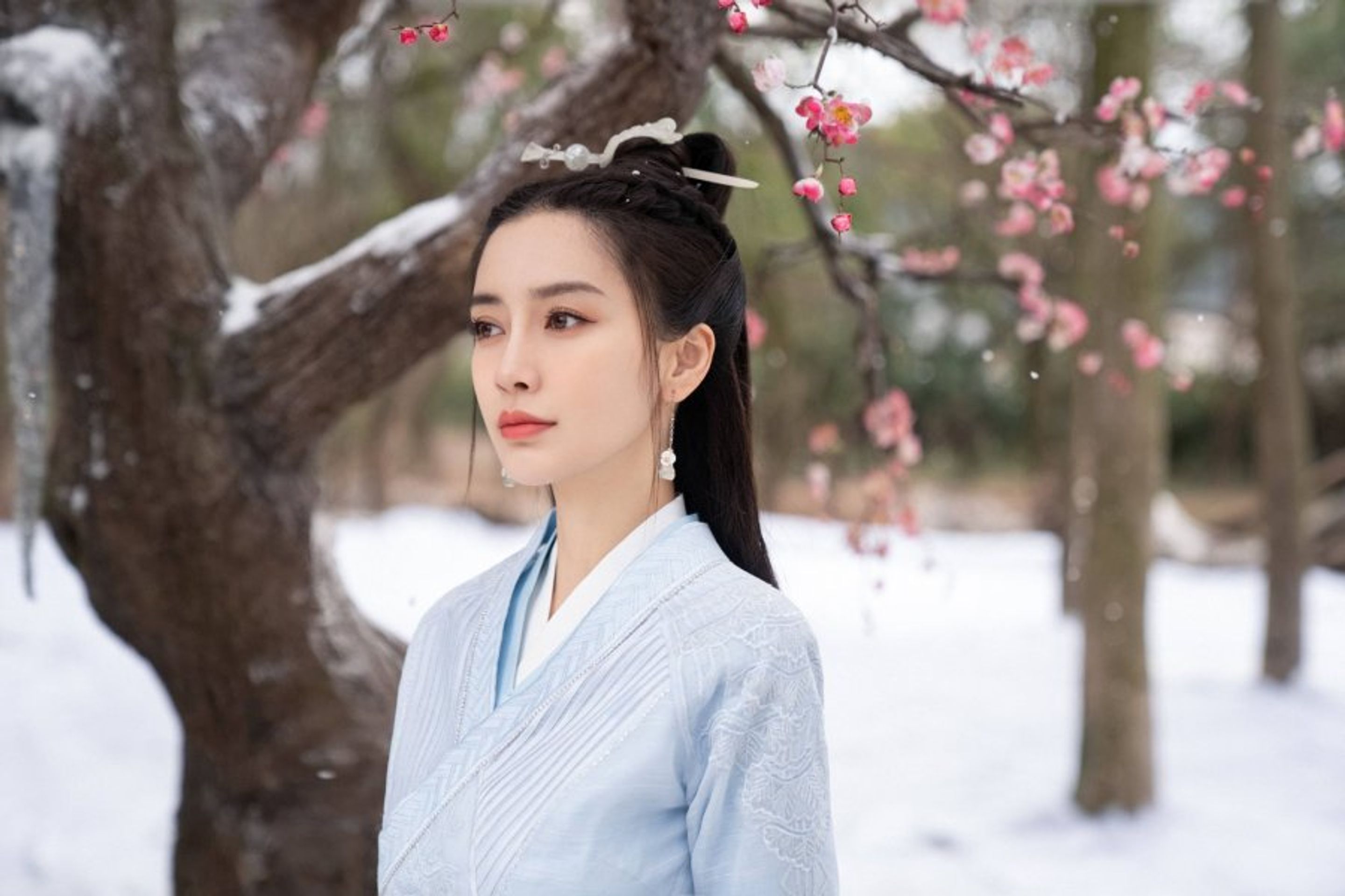진연