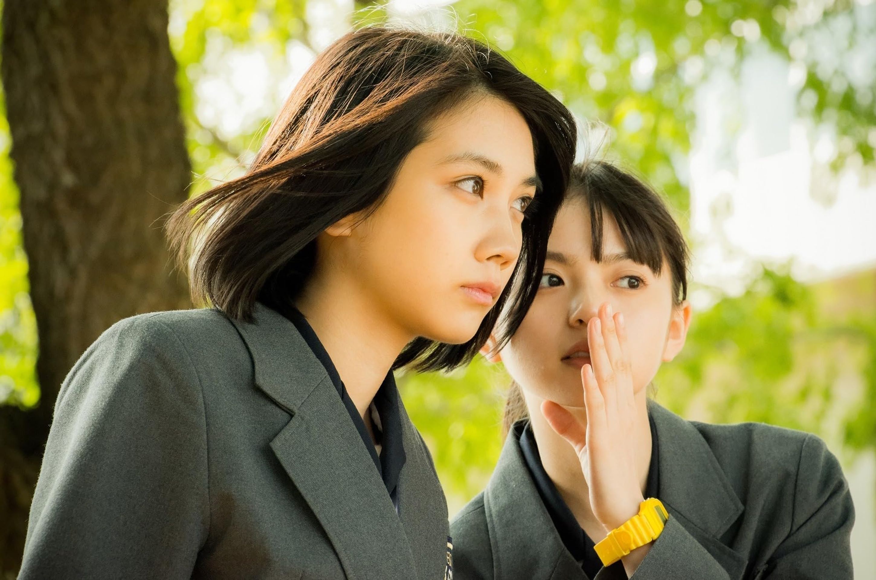 그 시절, 너의 뒤를 쫓았다