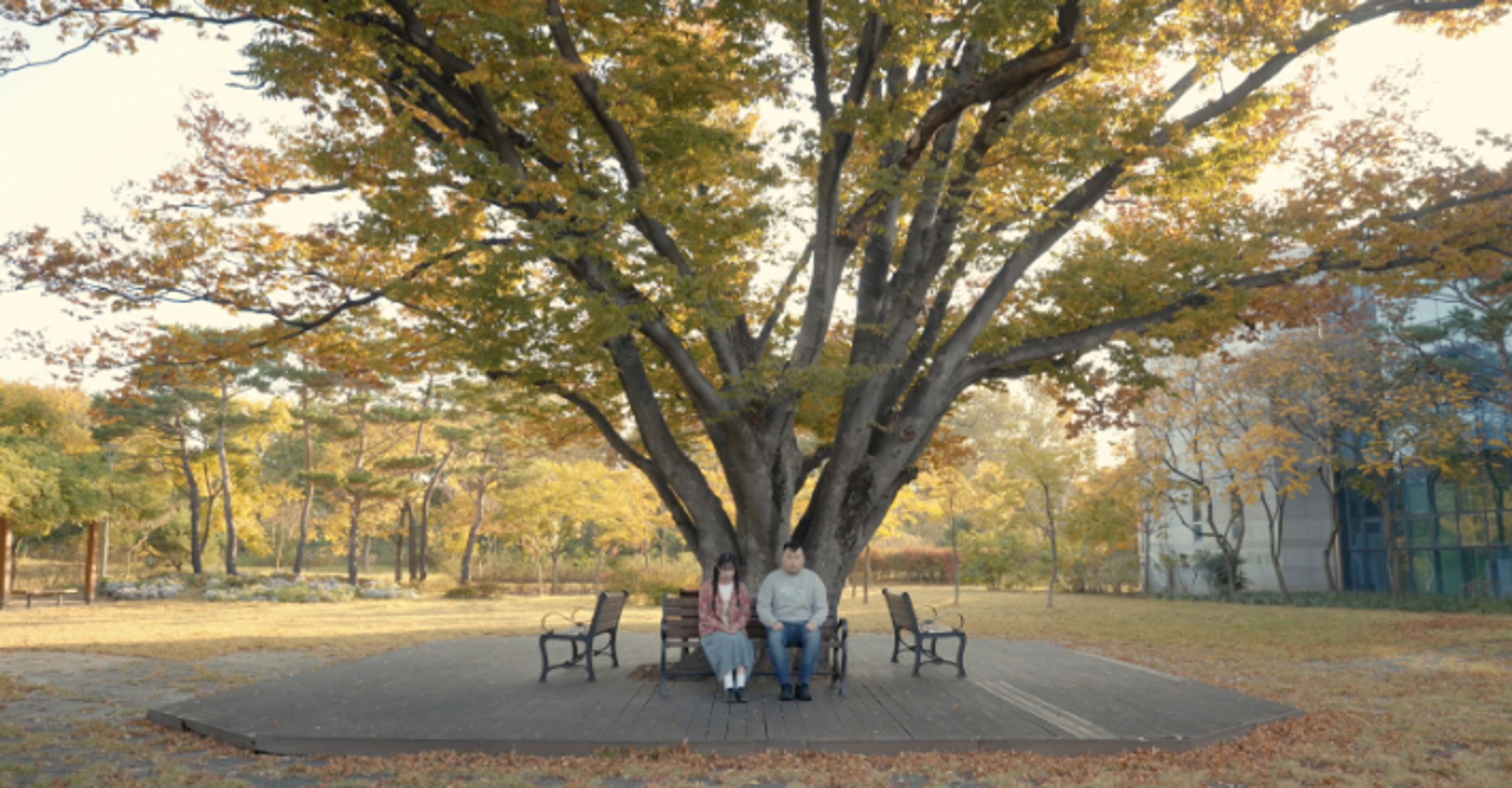 개복치 왕자의 꿈