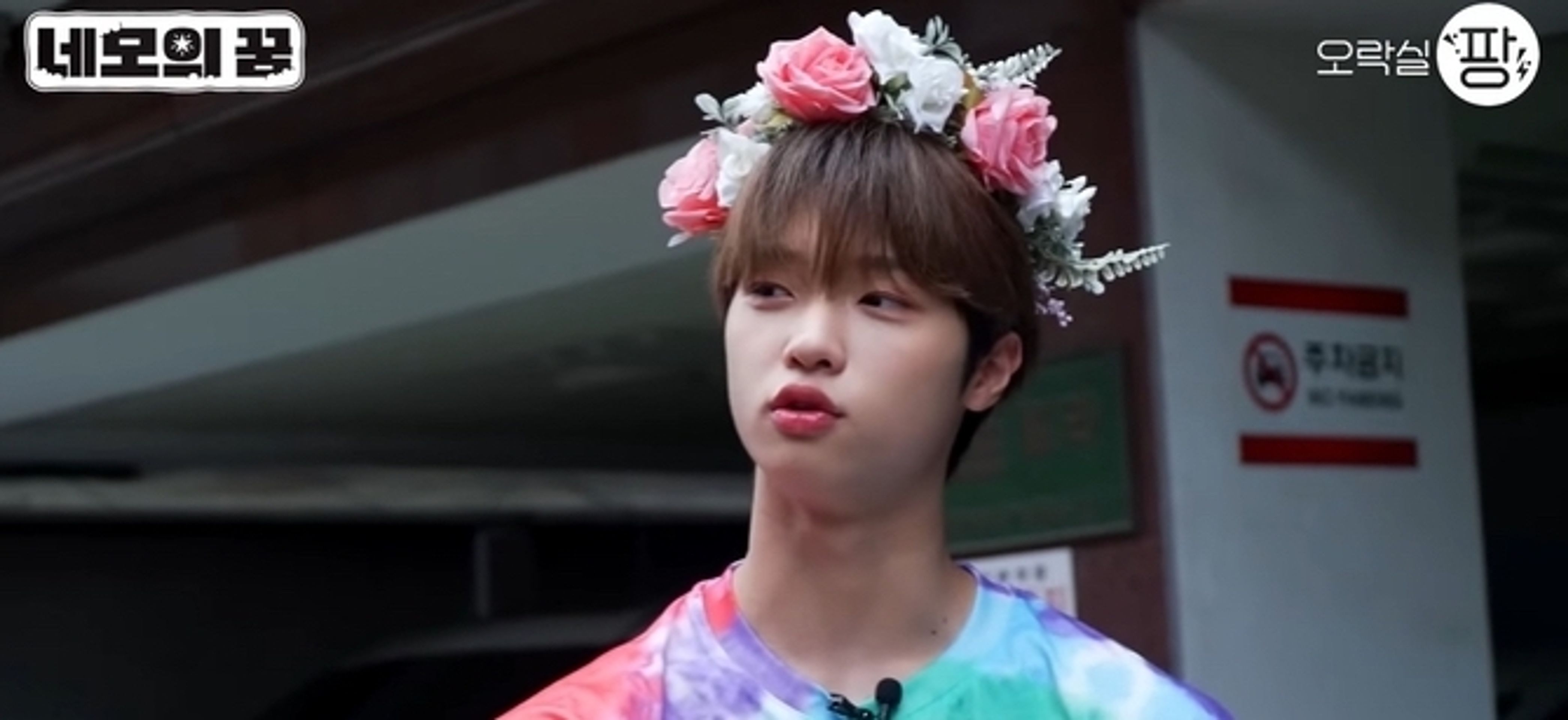 네모의 꿈