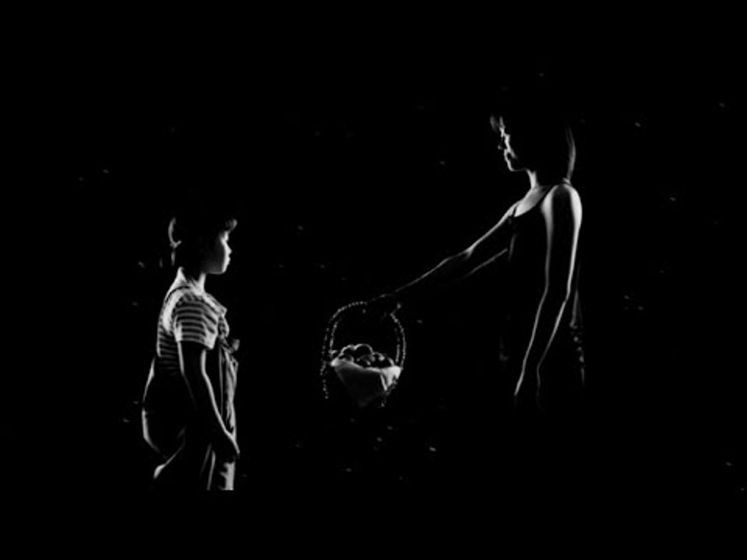 달걀을 찾습니다