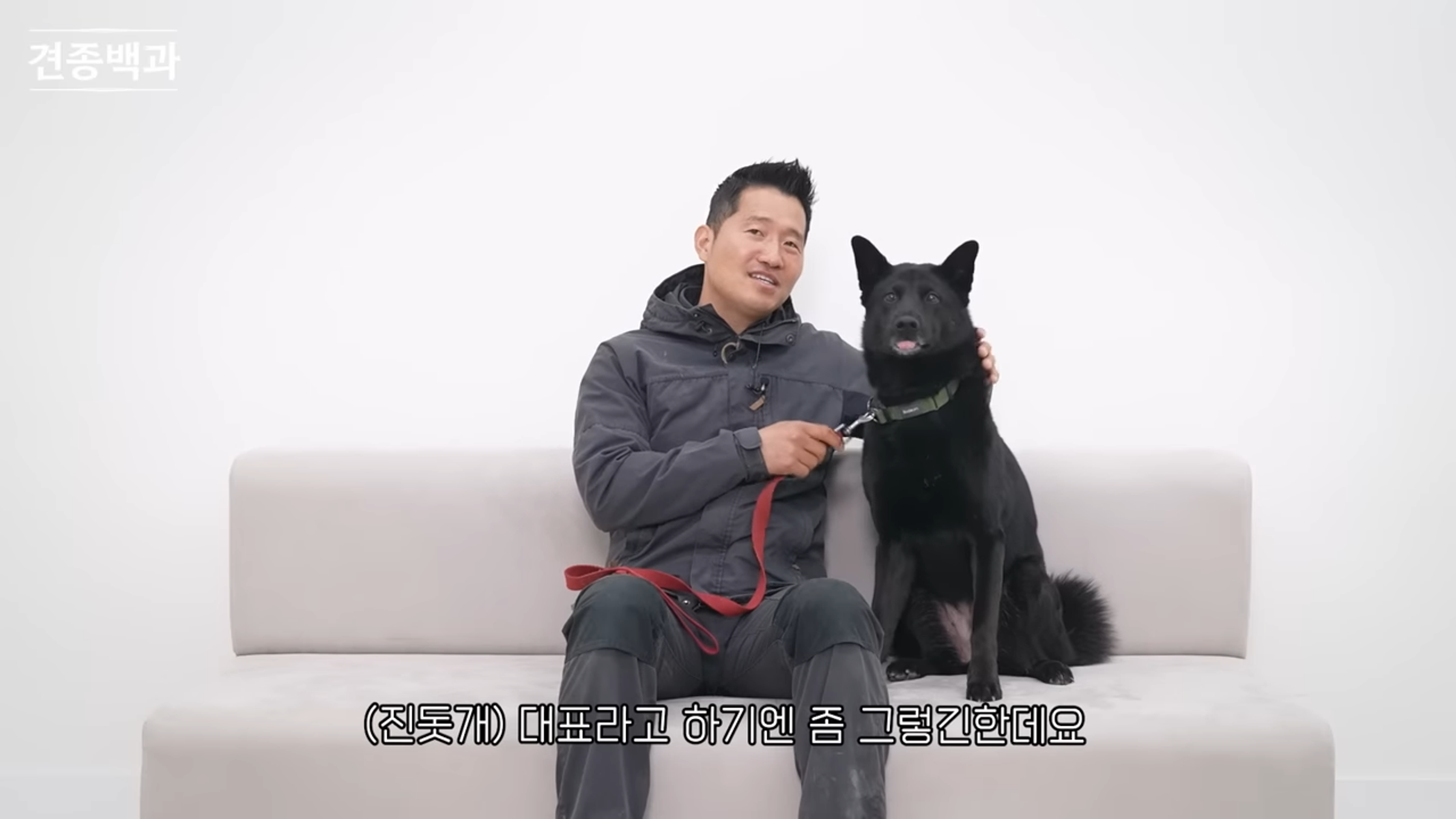 강형욱의 견종백과