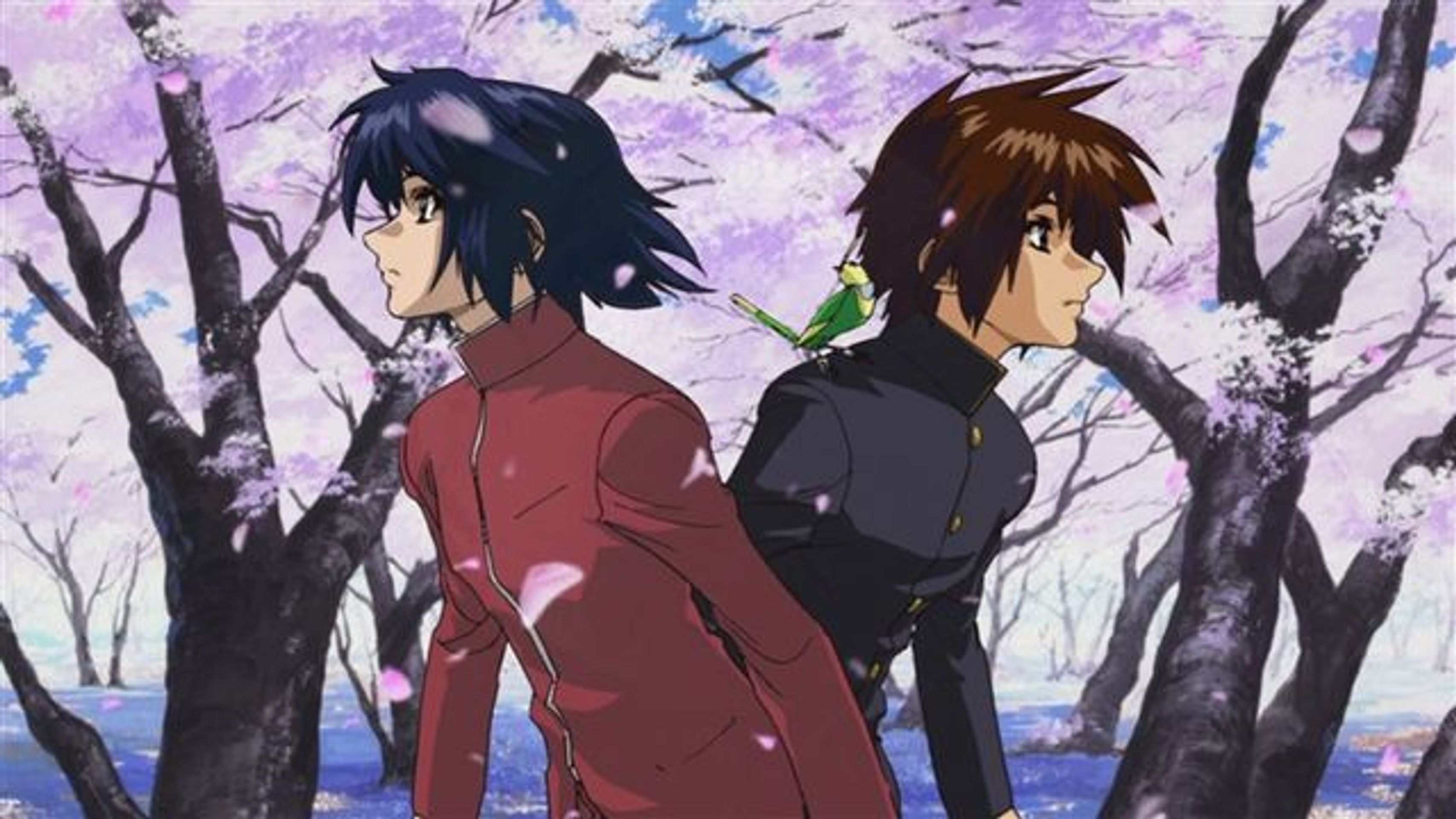 기동전사 건담 SEED DESTINY 스페셜 에디션: 부서진 세계