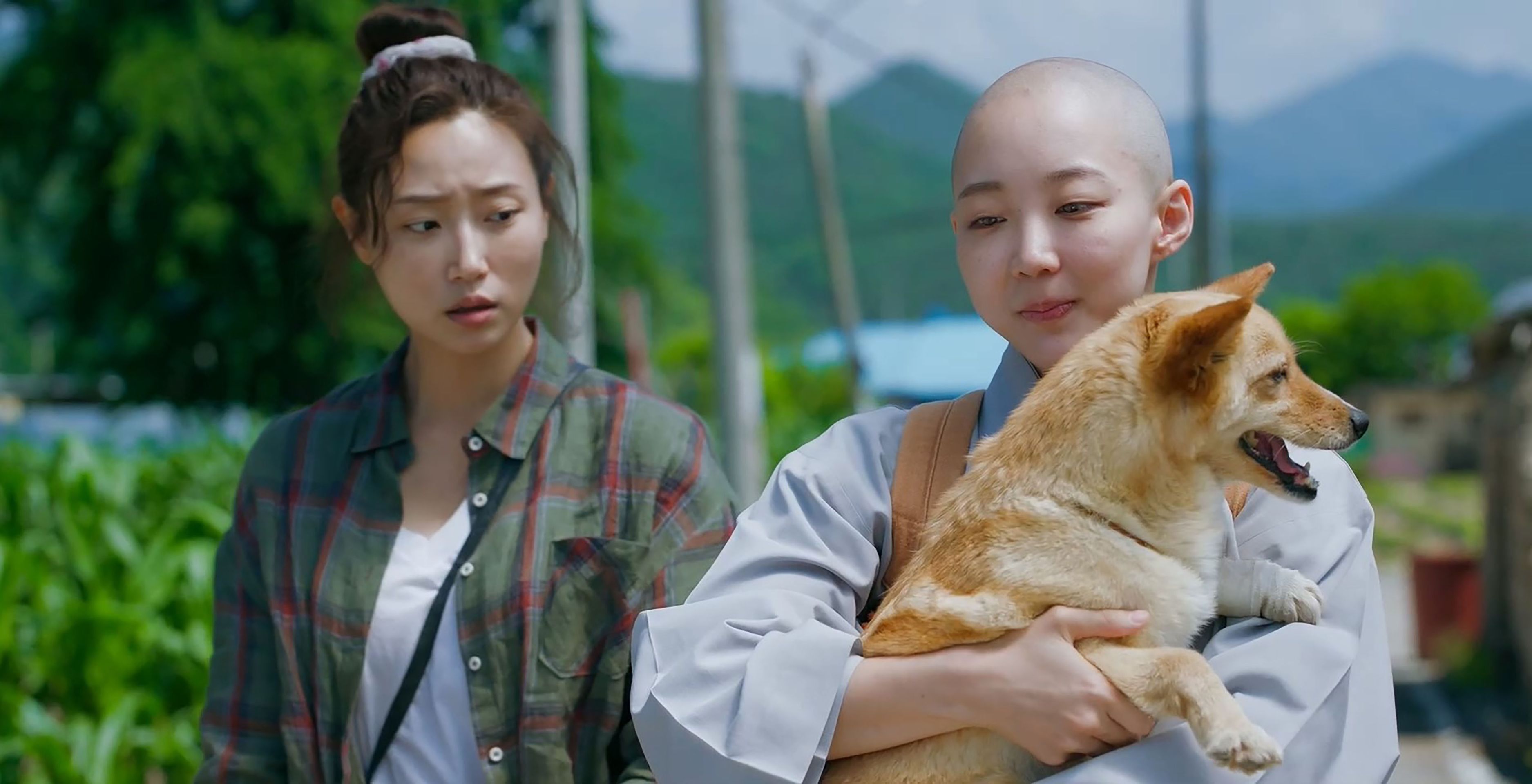 문경