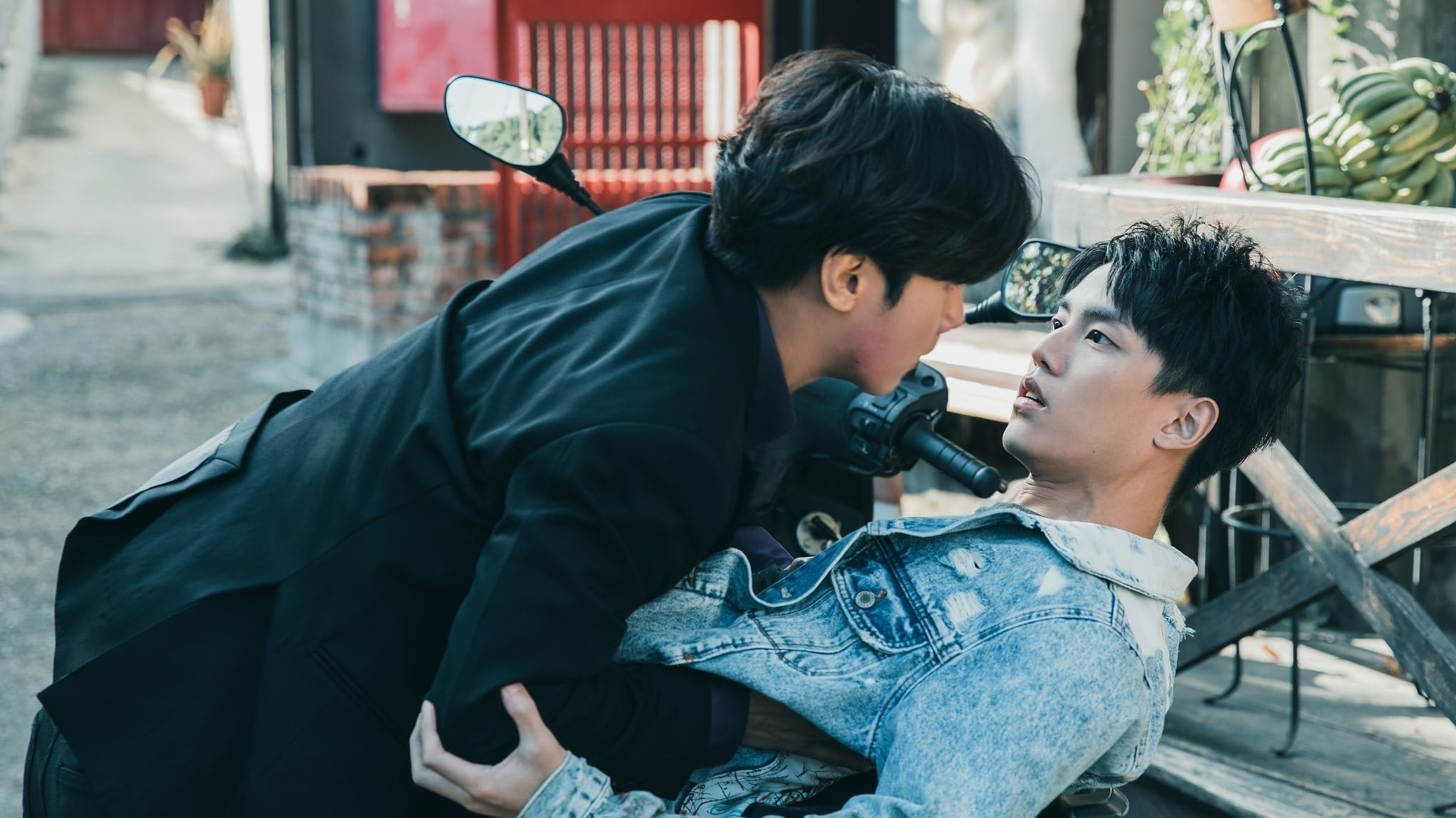 인위애니: 사랑하기 때문에