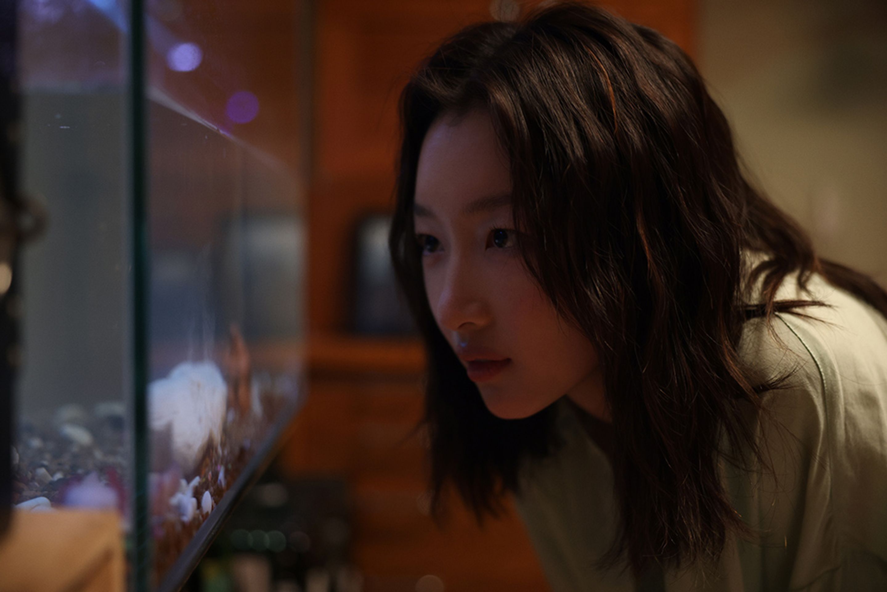 테인티드 러브