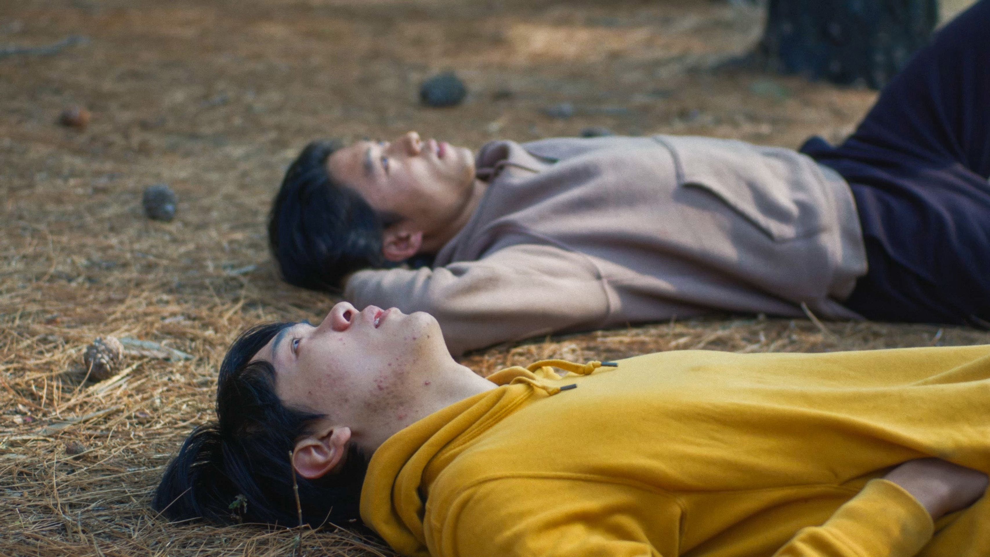 망향의 노래