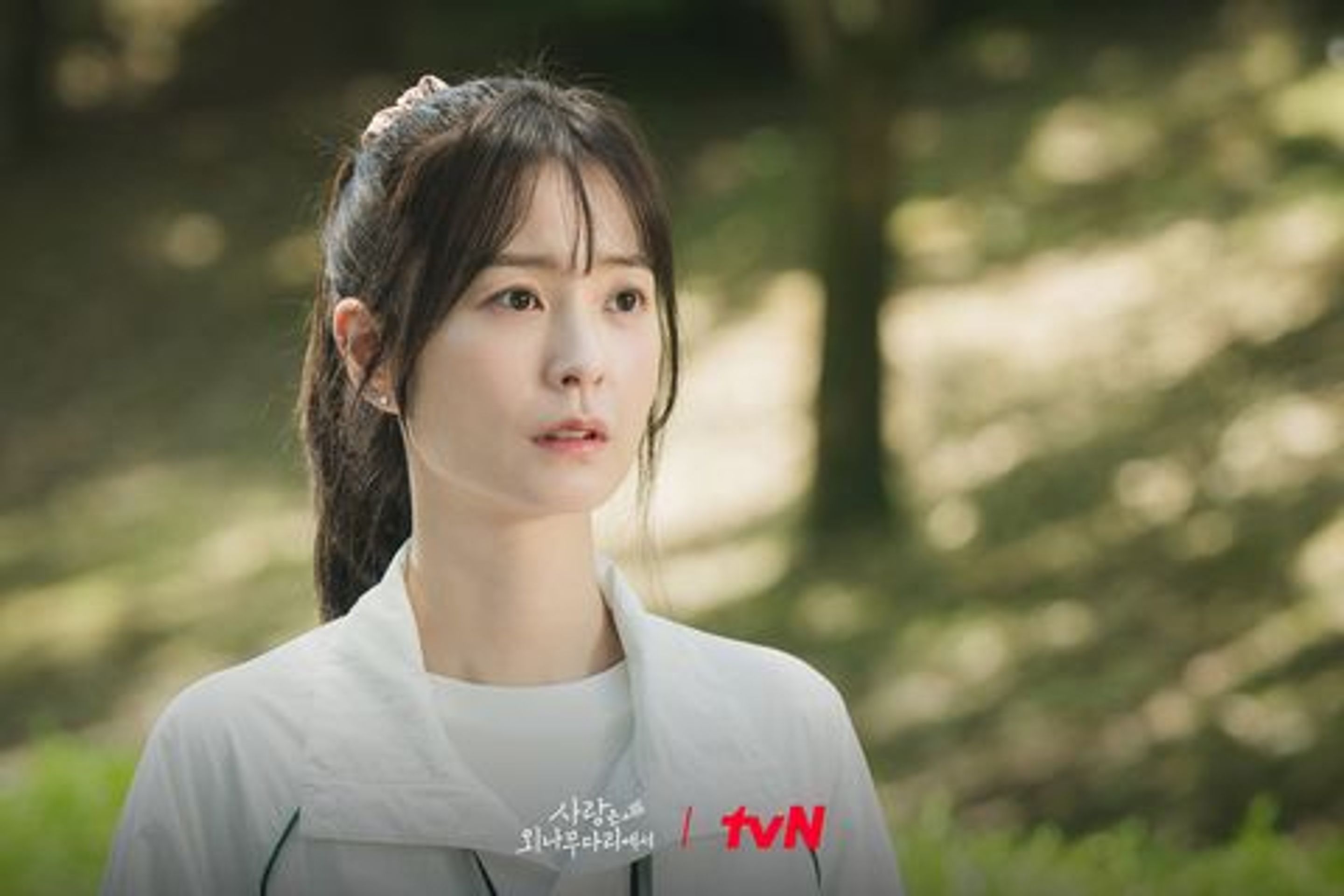 사랑은 외나무다리에서