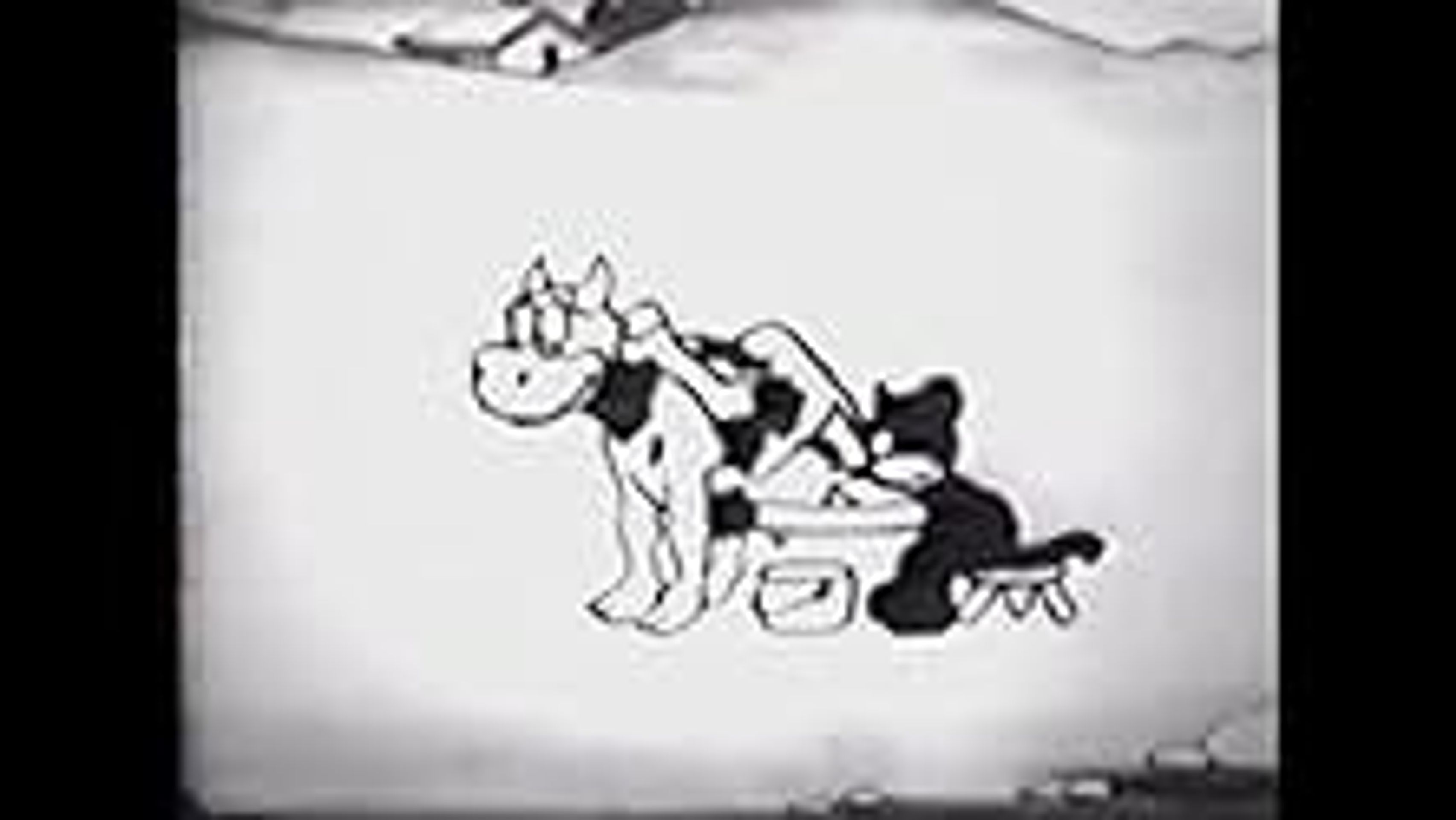 농장의 앨리스