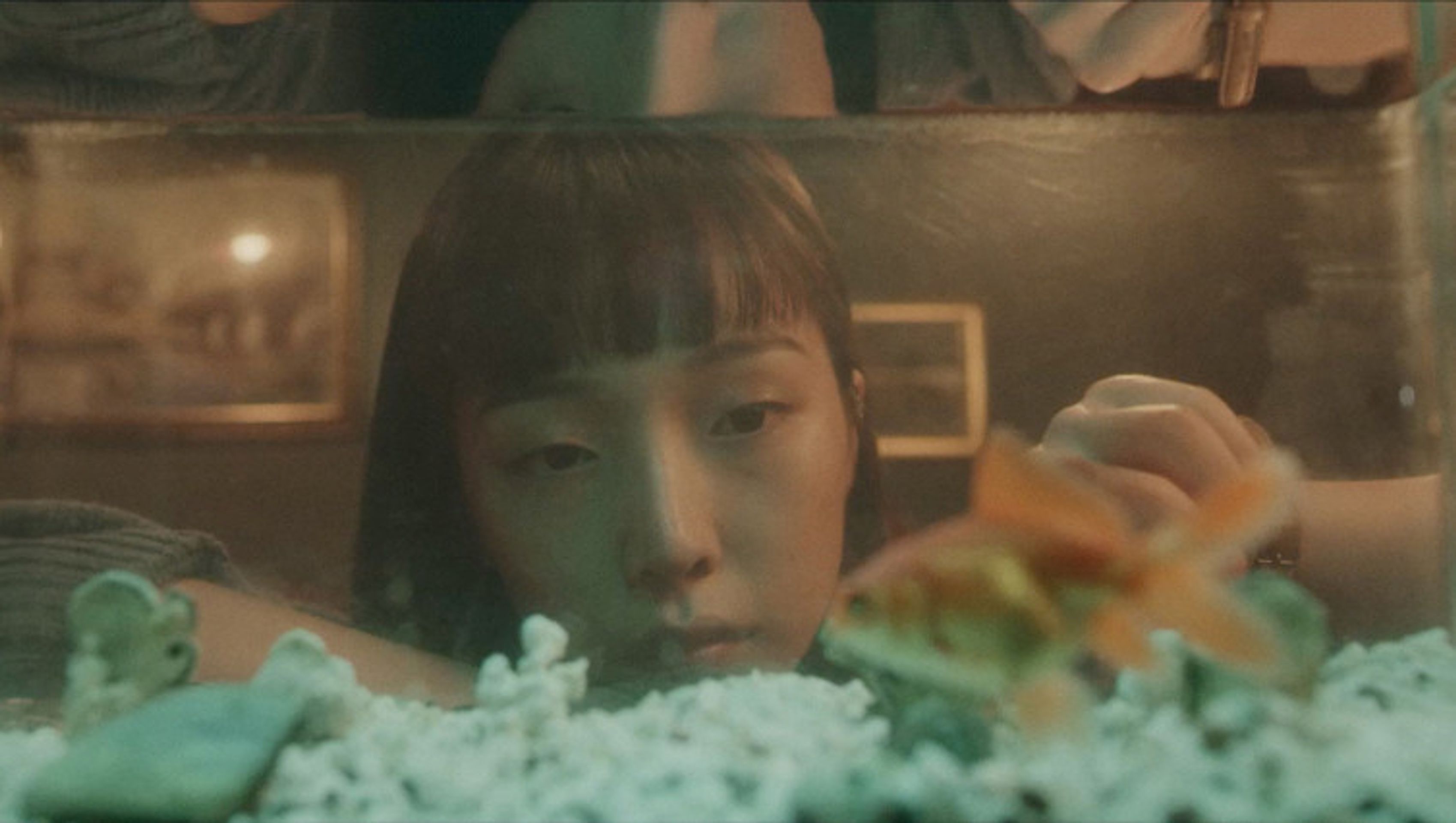 금붕어 죽이기