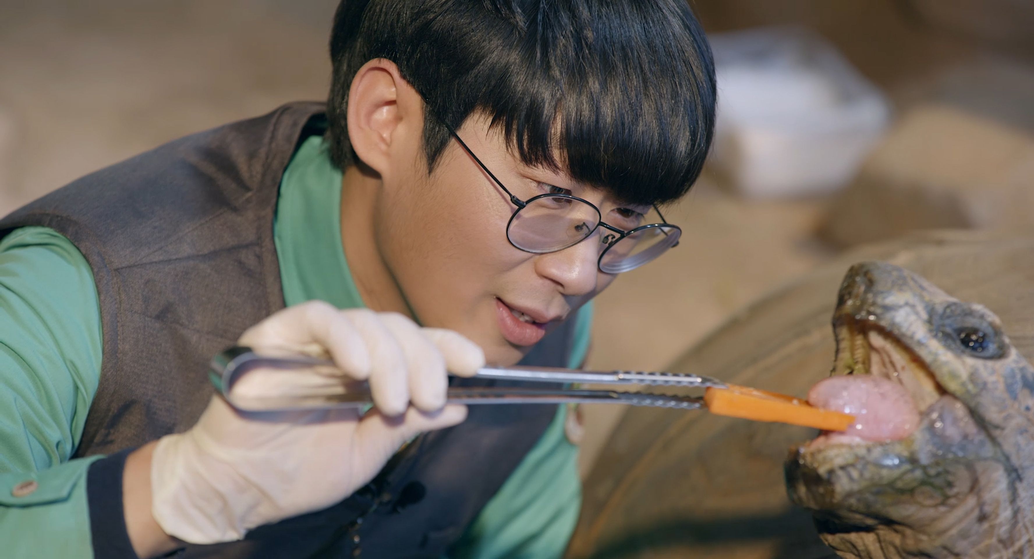 정브르의 동물일기