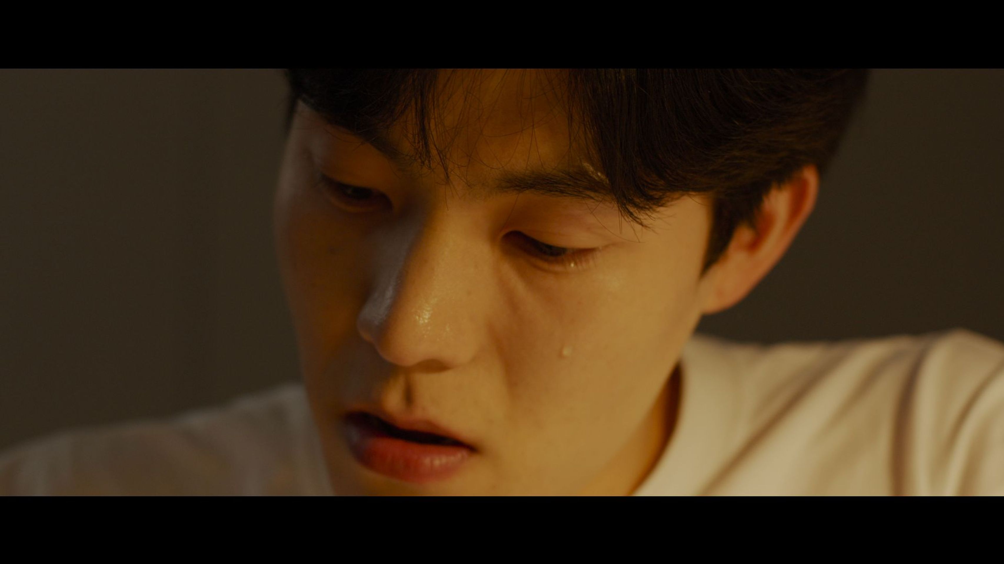 완벽주의 예술가들