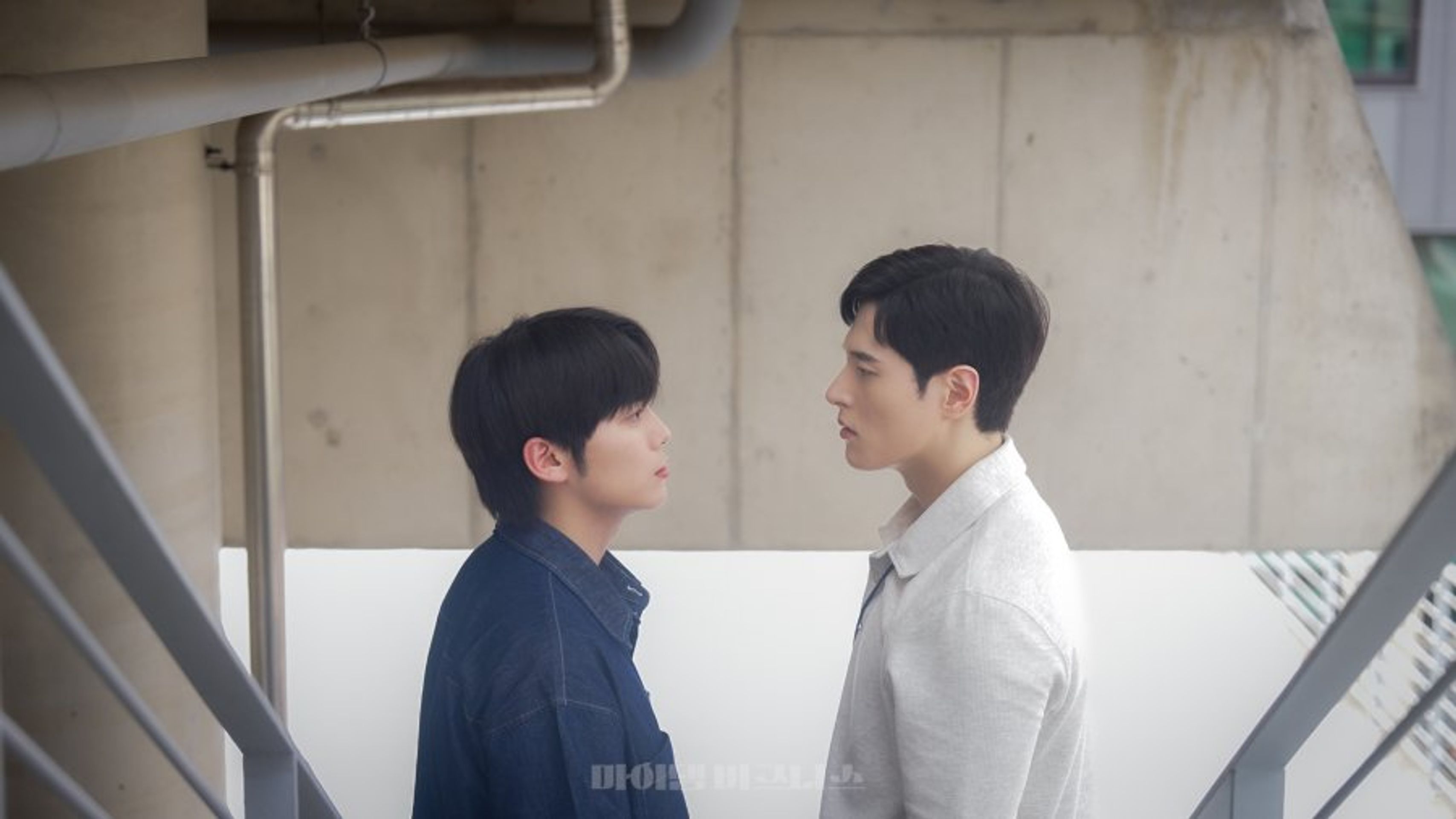 마이 댐 비즈니스