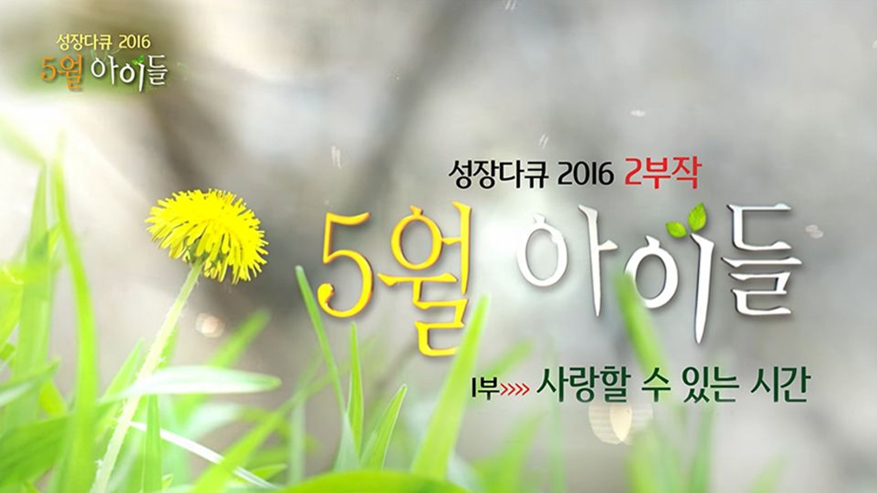 2016 성장다큐멘터리 5월, 아이들