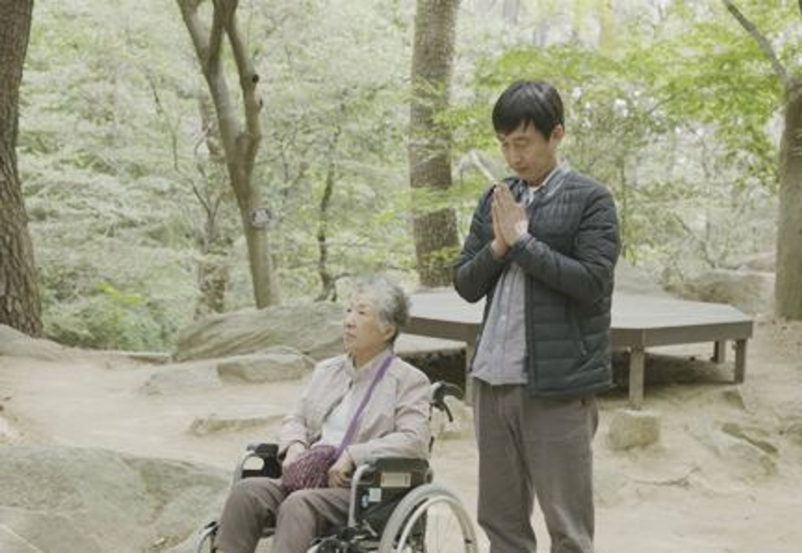 벚나무 아래
