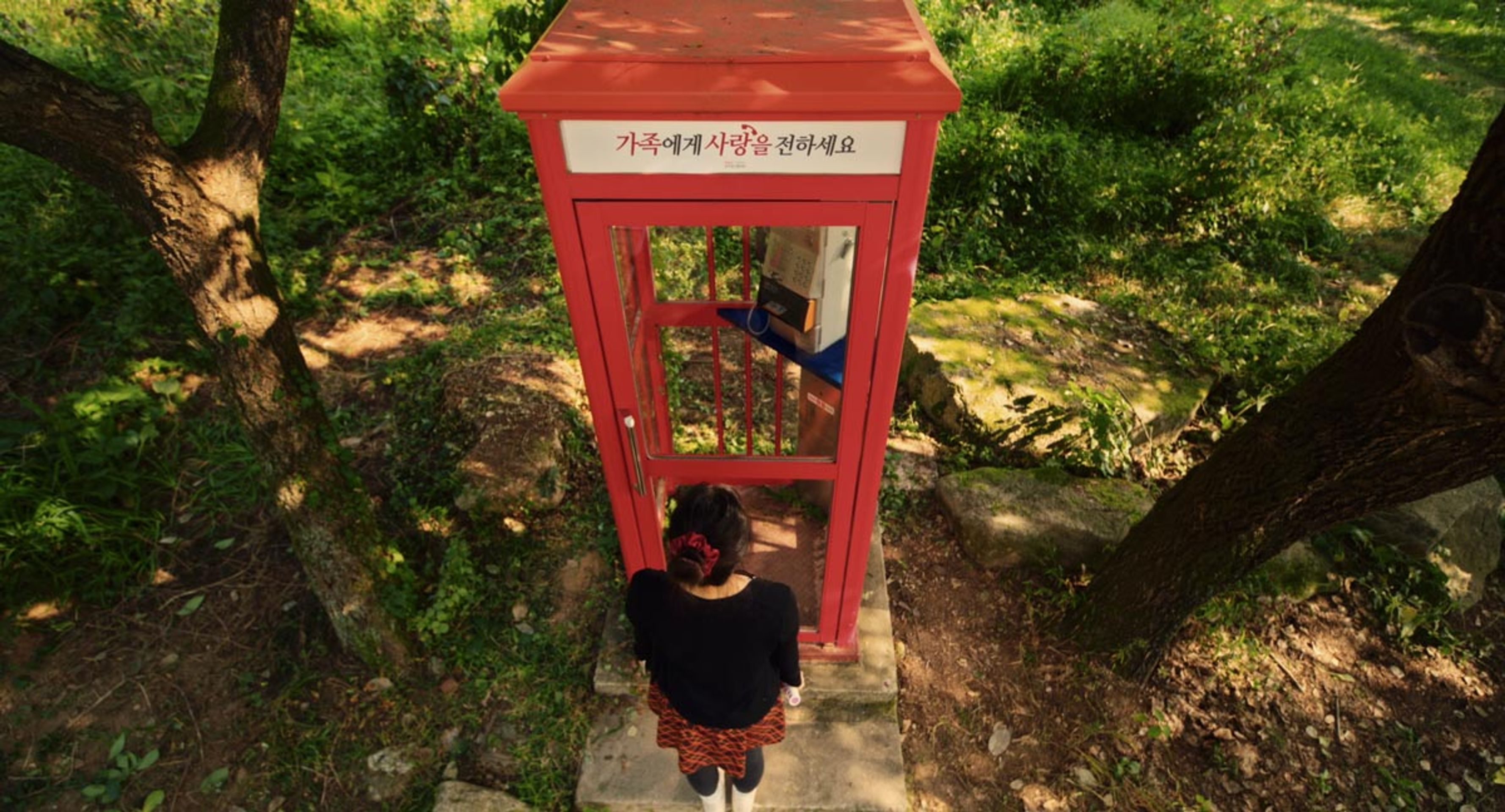 다음 중 마리아가 전화를 건 목적은?