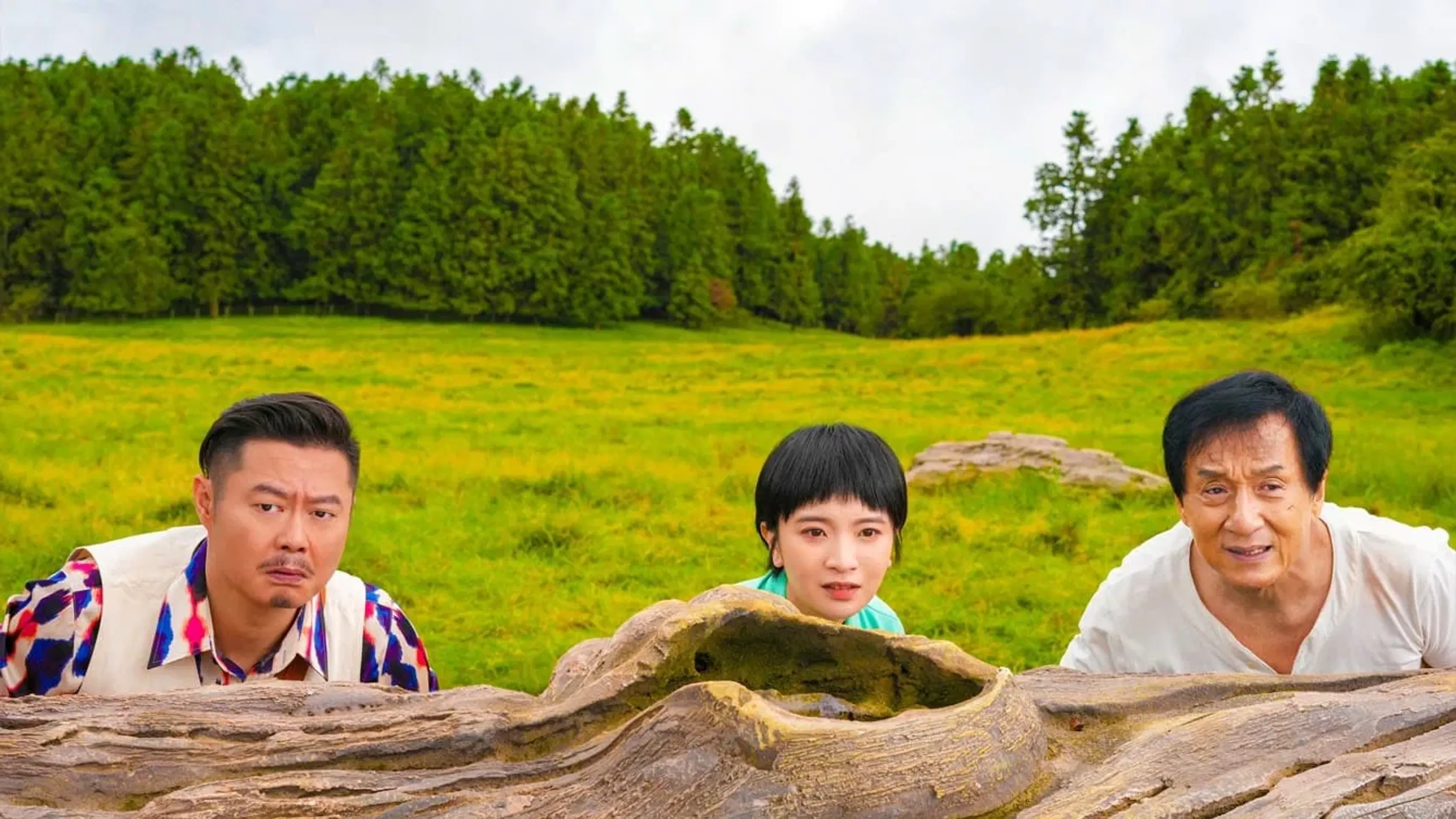 판다 플랜
