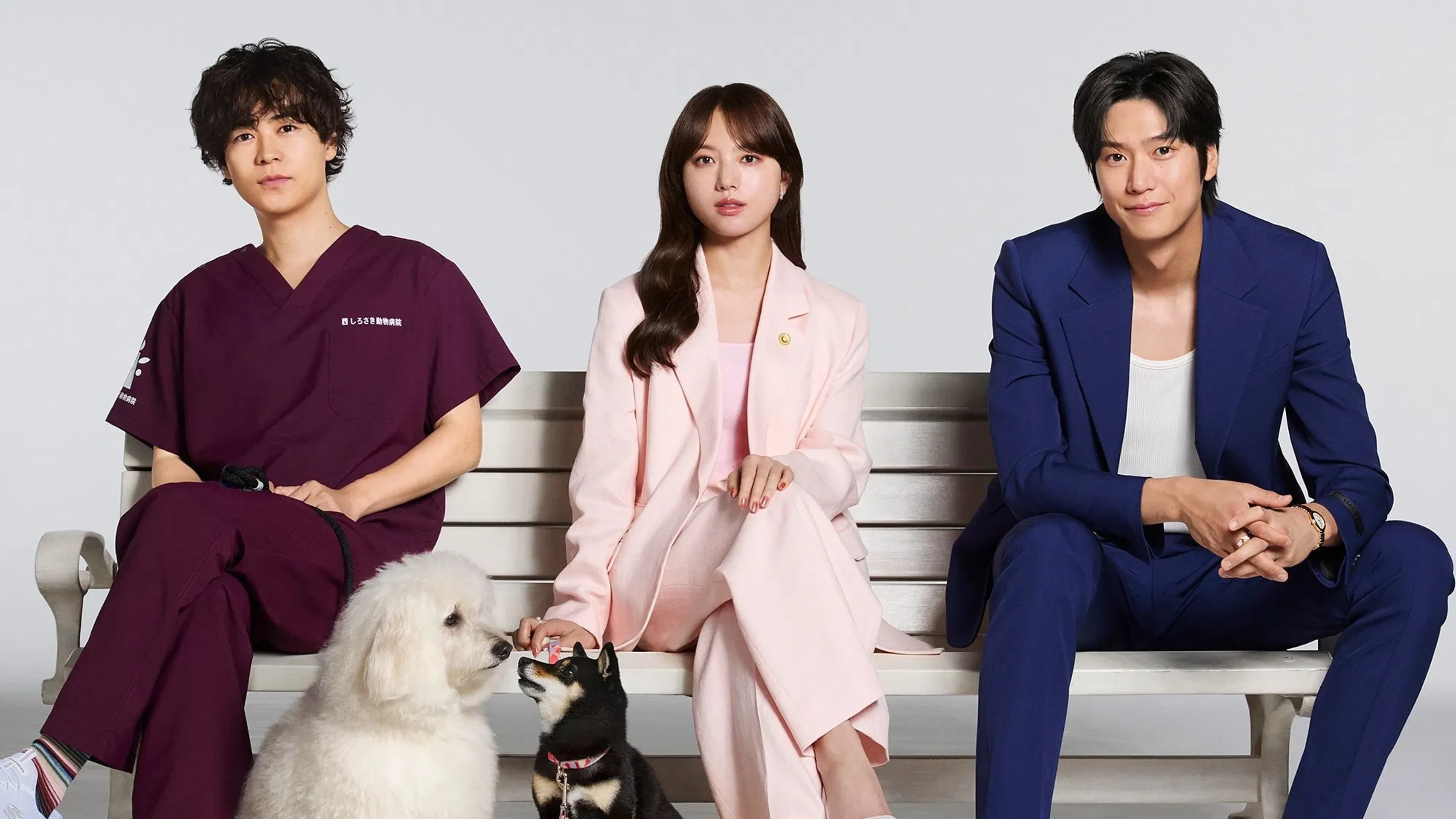 첫사랑 DOGs