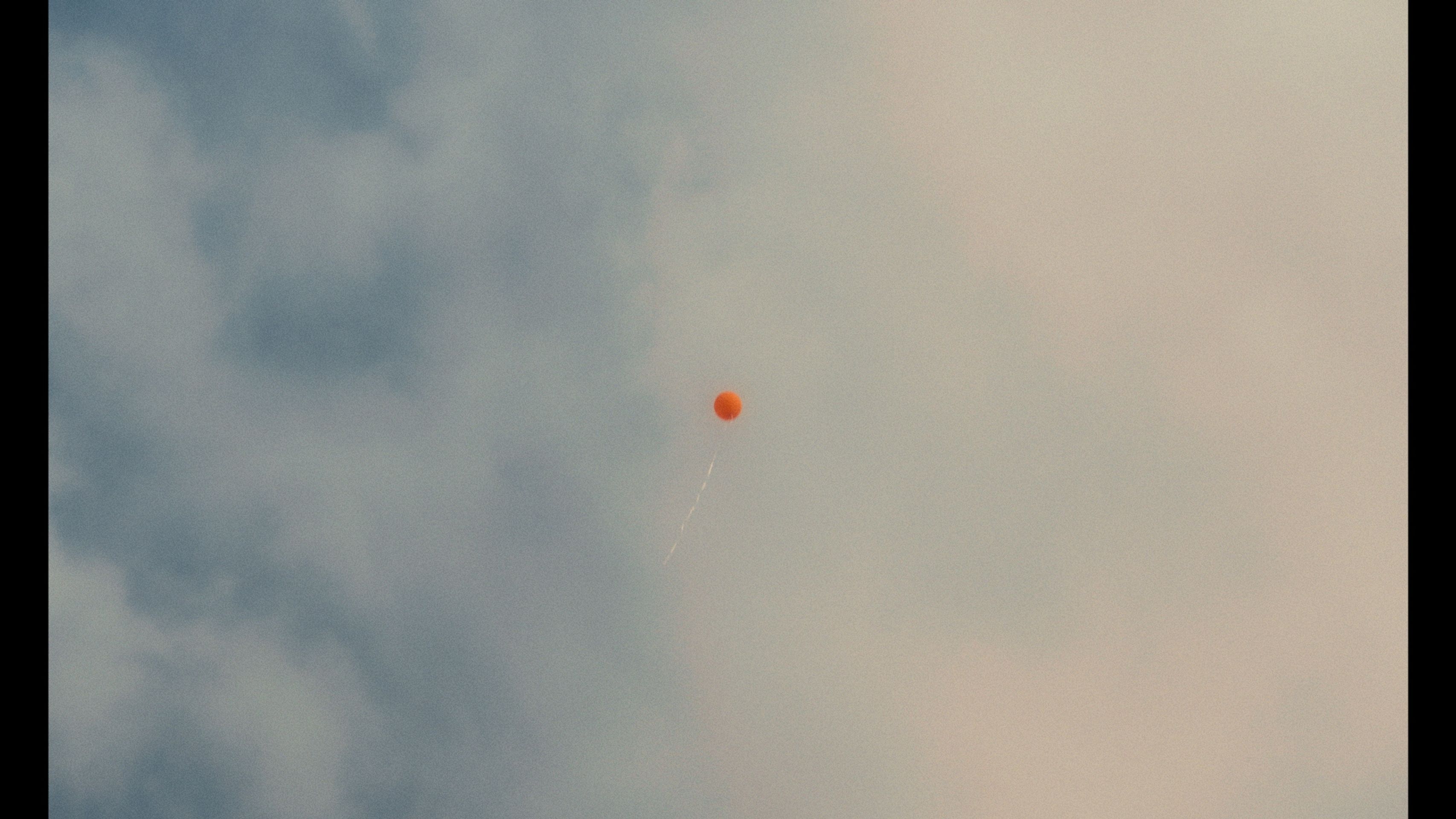 오후의 손님