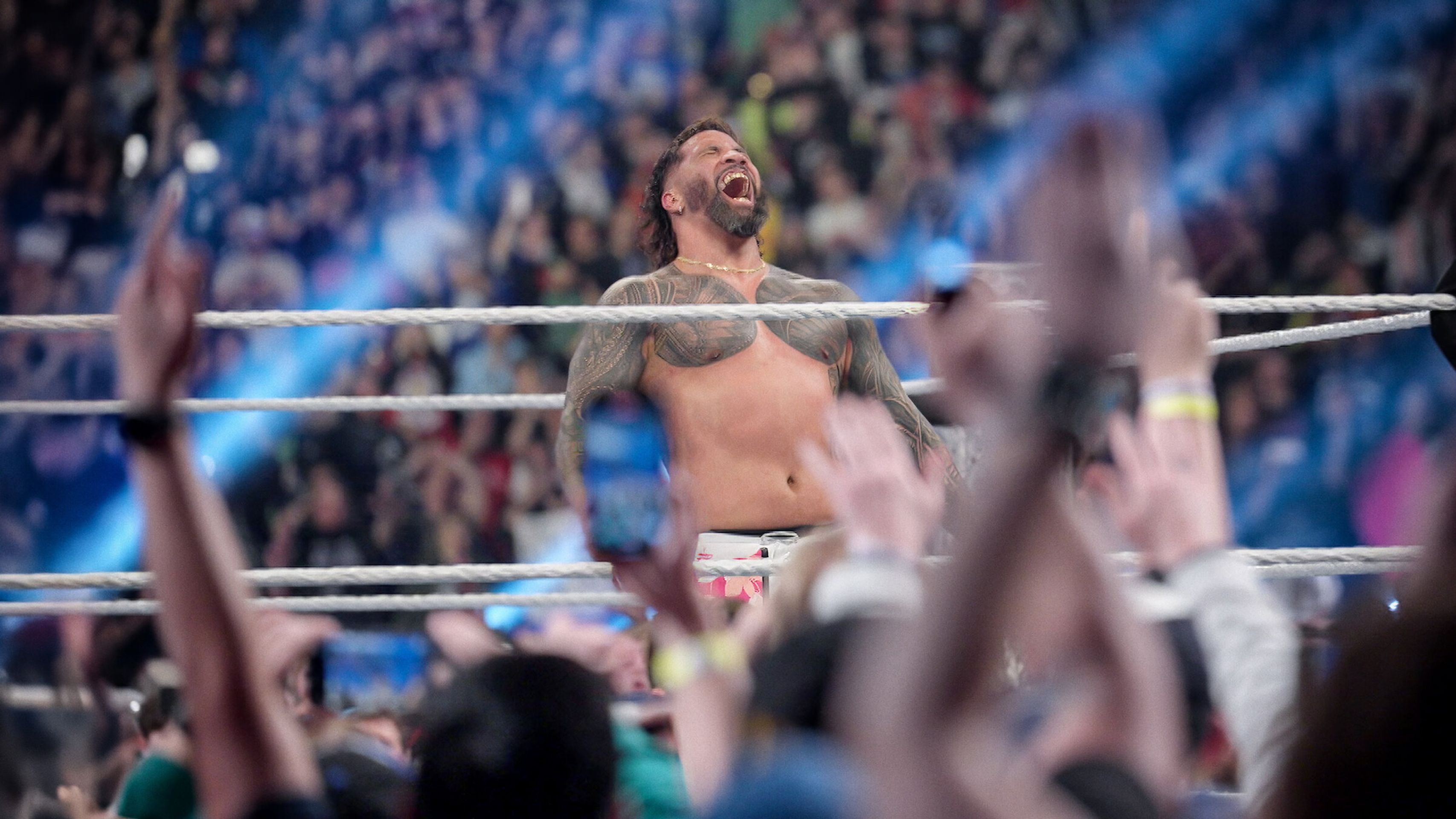 WWE: 언리얼