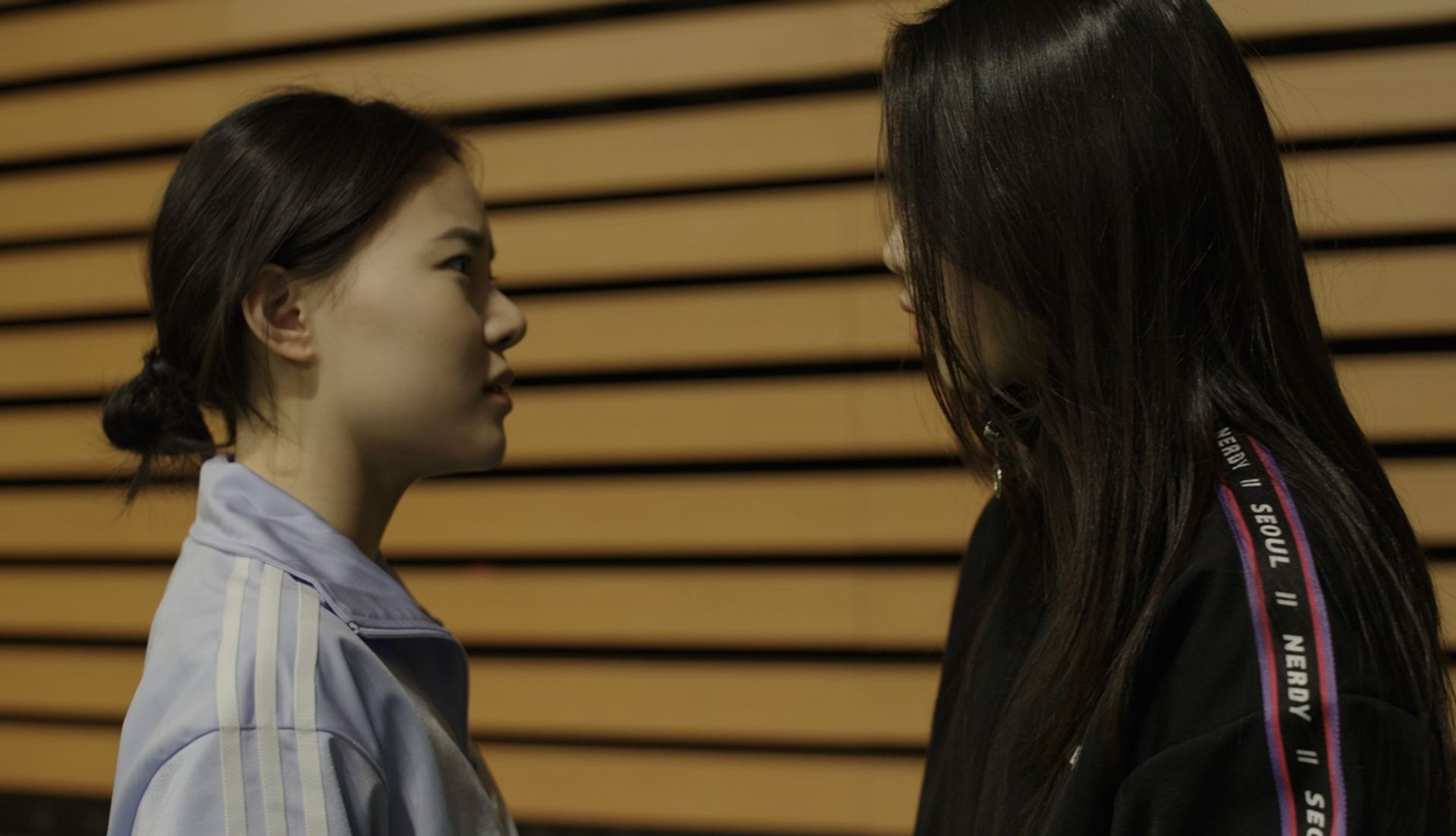 마이!
