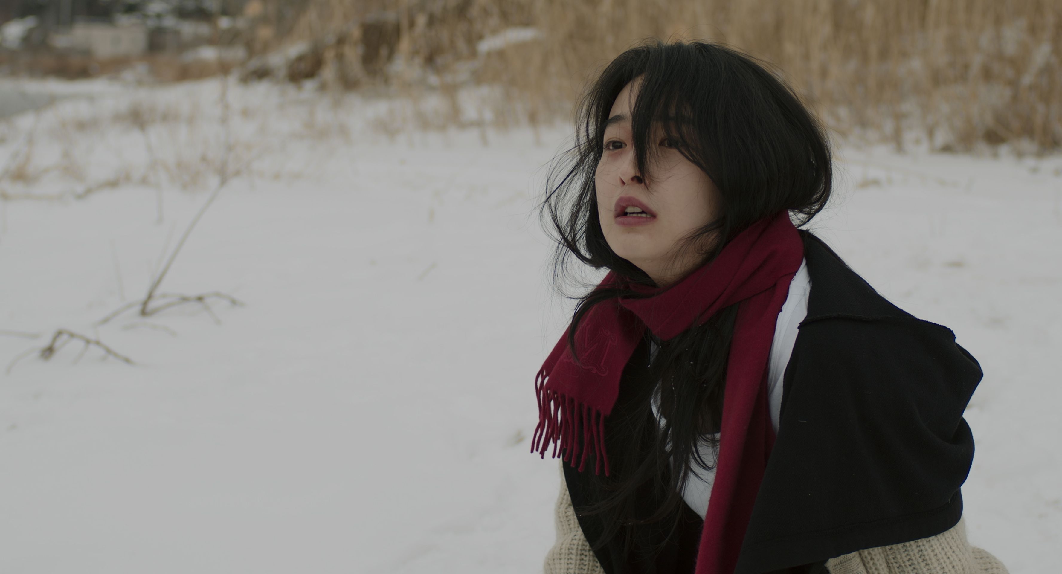 초콜릿