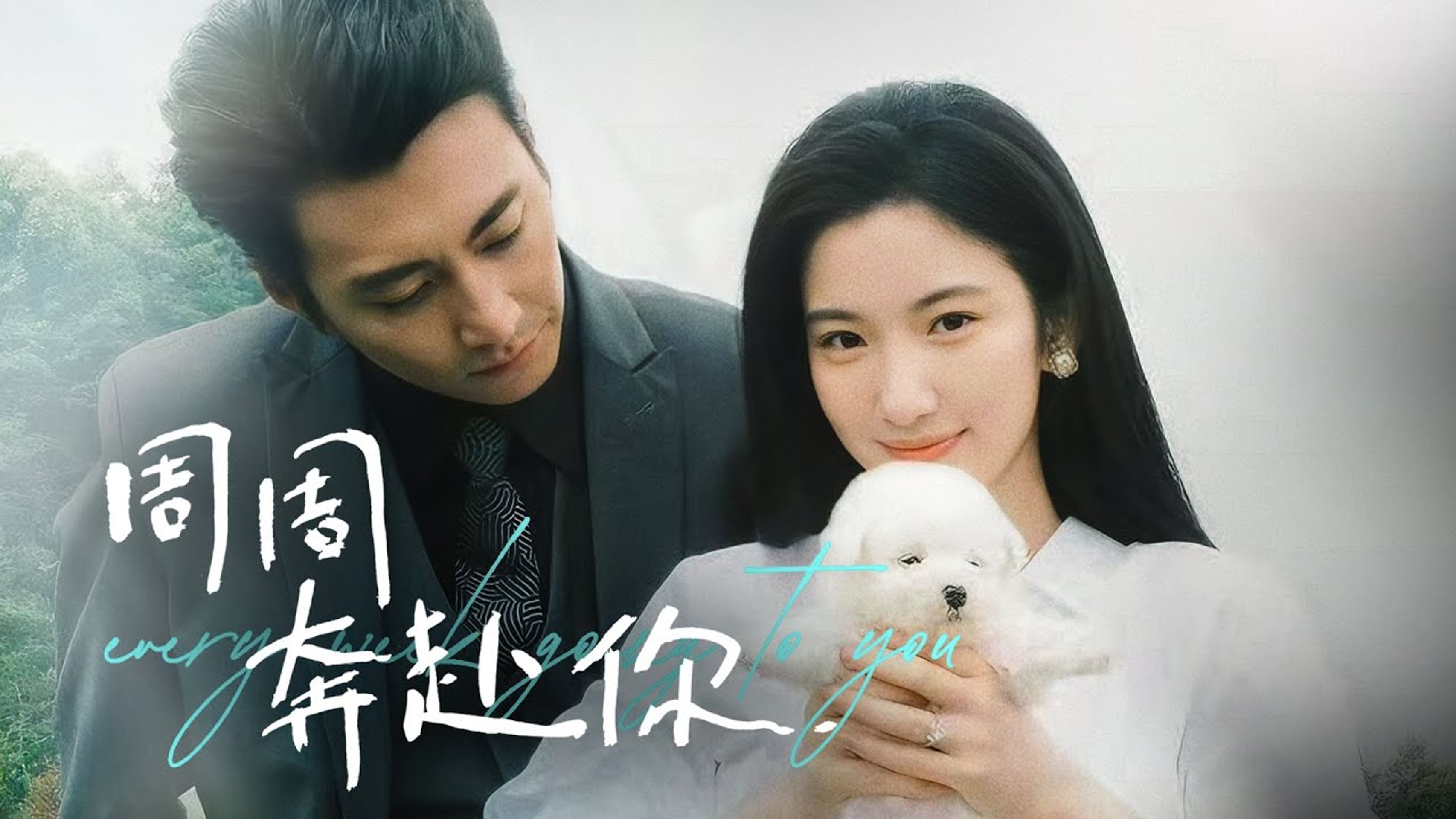 주주분부니