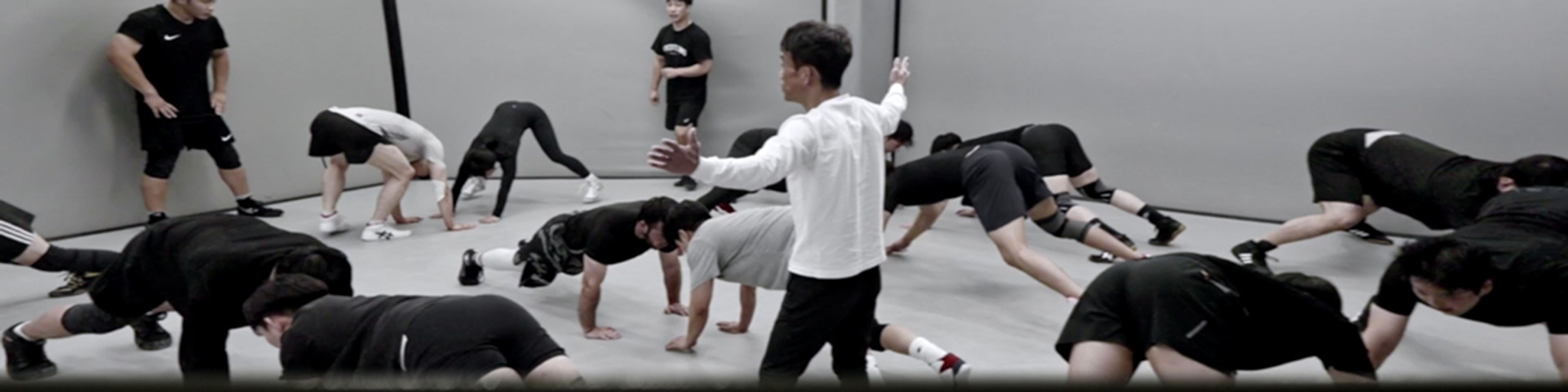 심 파 테르