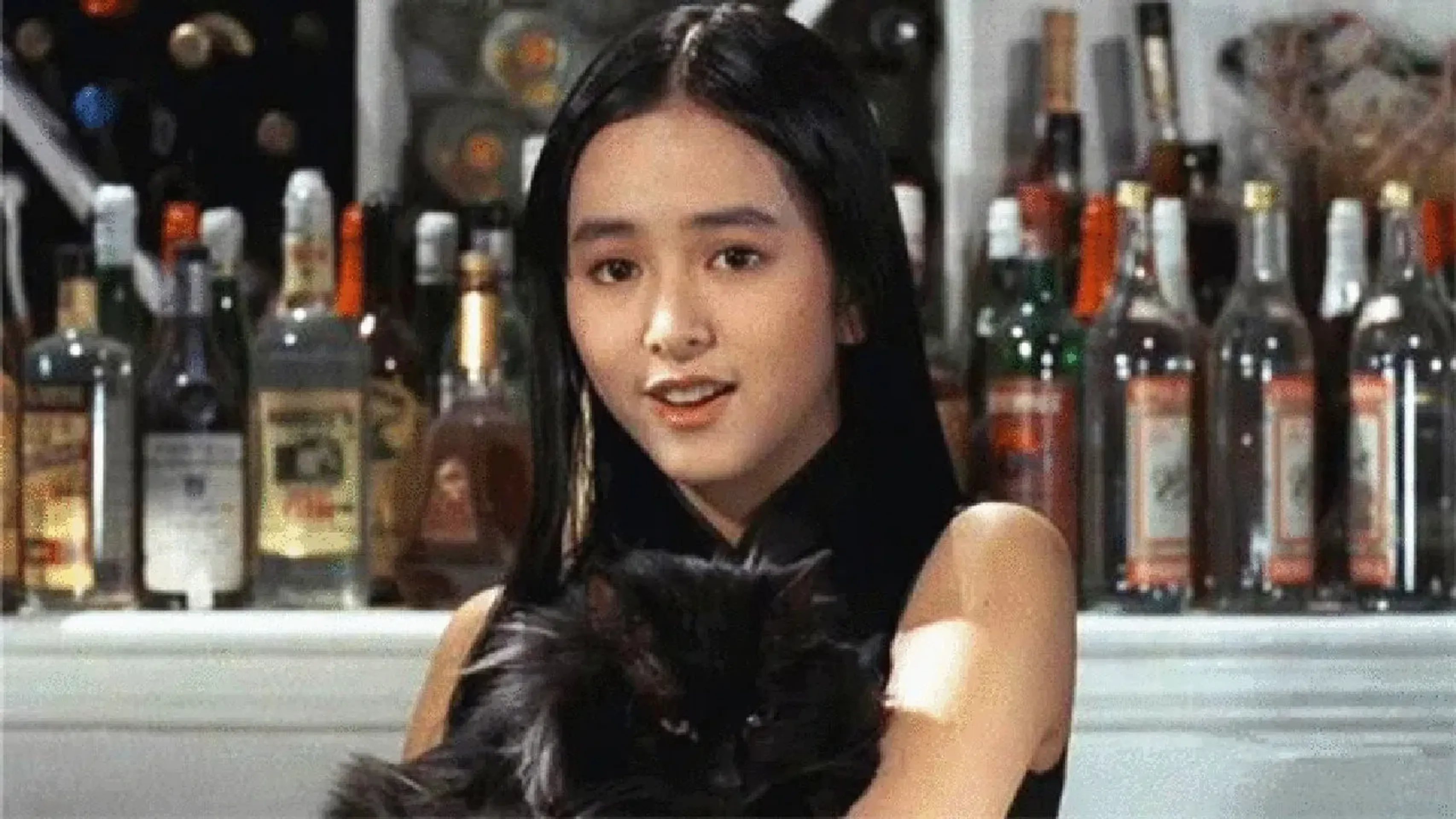 캣츠